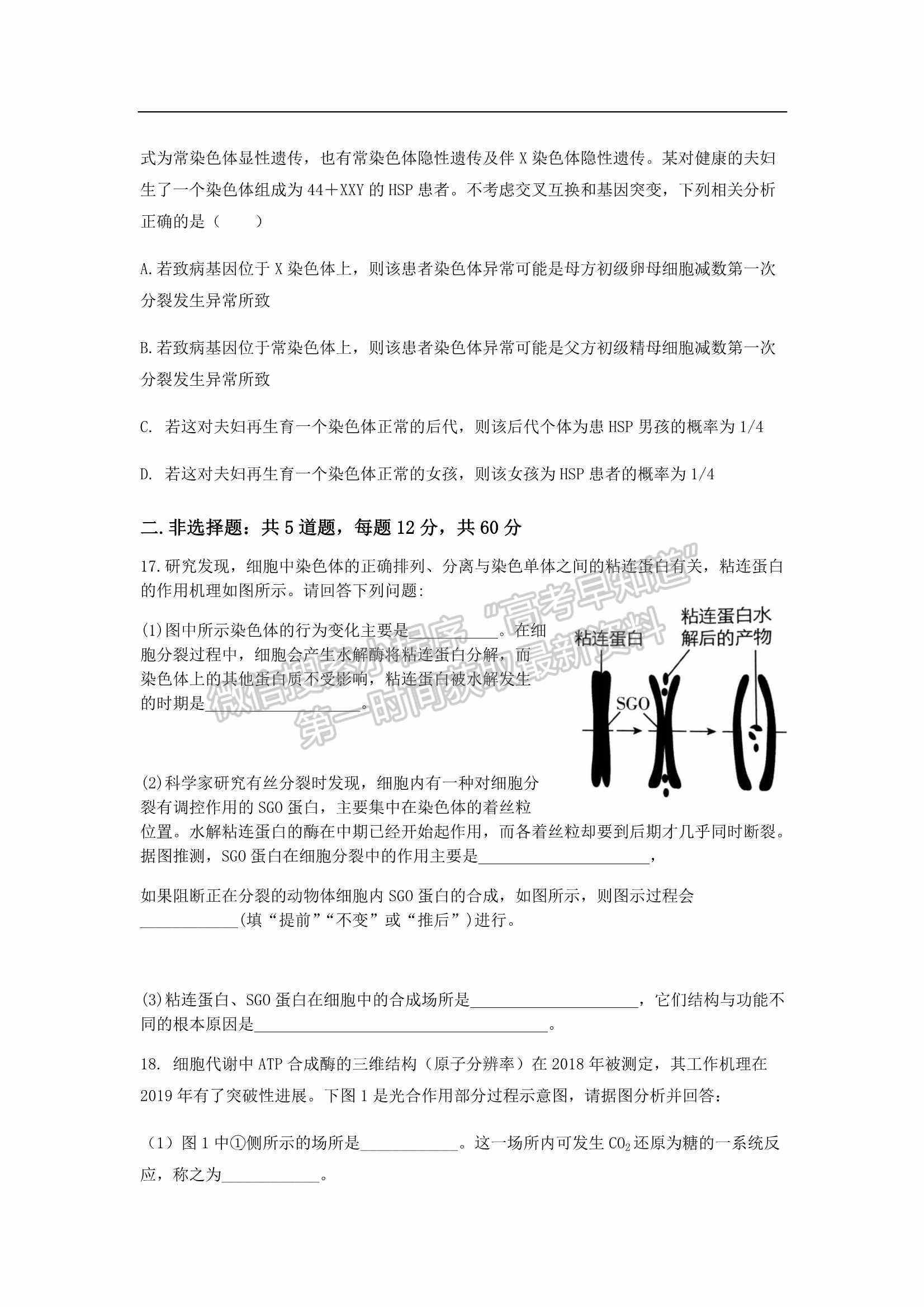 2022屆廣東省深圳外國語學(xué)校高三第二次檢測考試生物試卷及參考答案