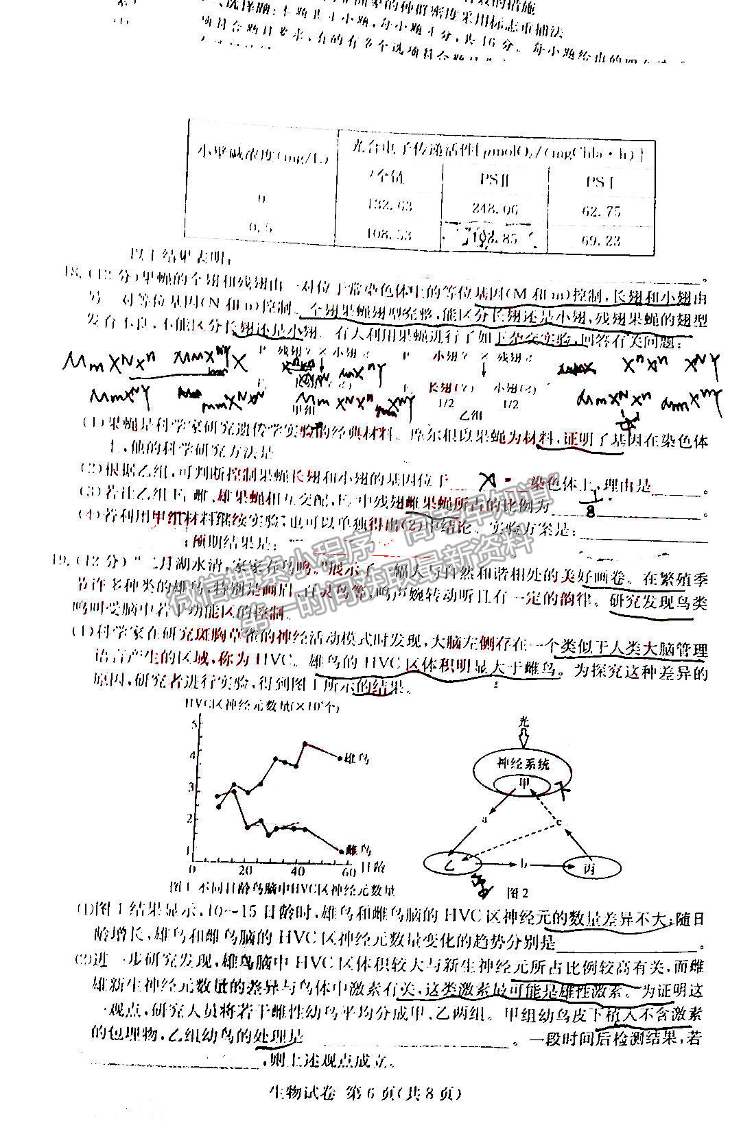 2022屆湖南新高考教學教研聯(lián)盟（五市十校）高三第一次聯(lián)考生物試題及參考答案