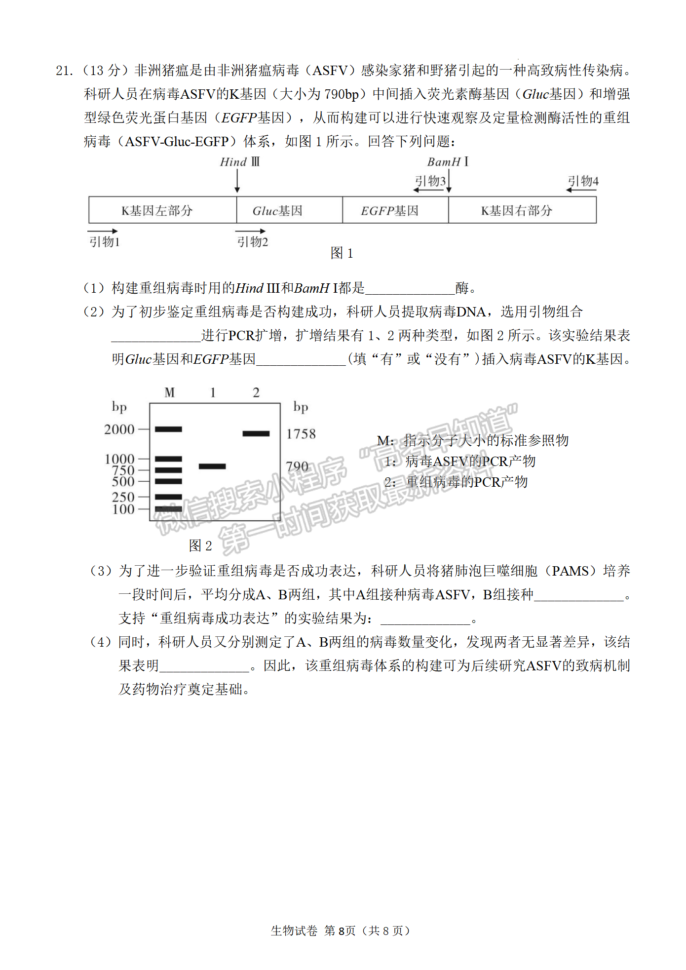 2022年莆田高三市質(zhì)檢生物試卷答案