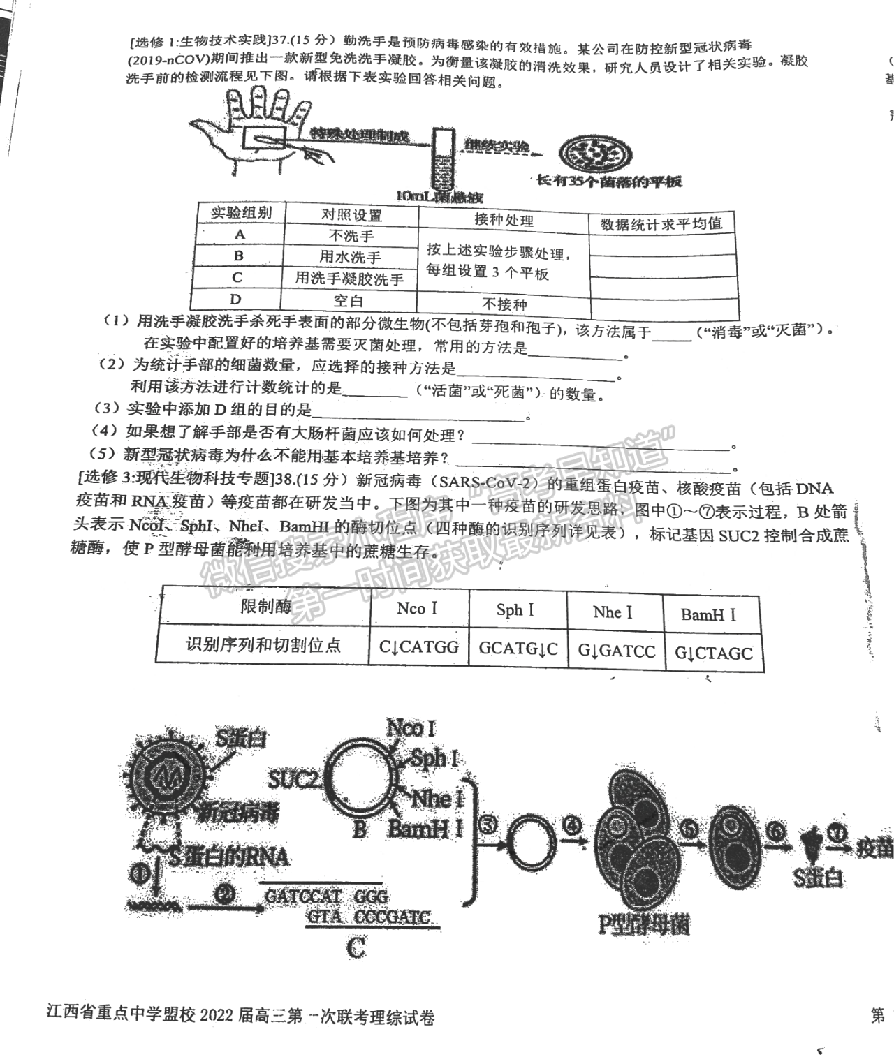 2022江西重點(diǎn)中學(xué)盟校高三一聯(lián)理綜試題及參考答案 