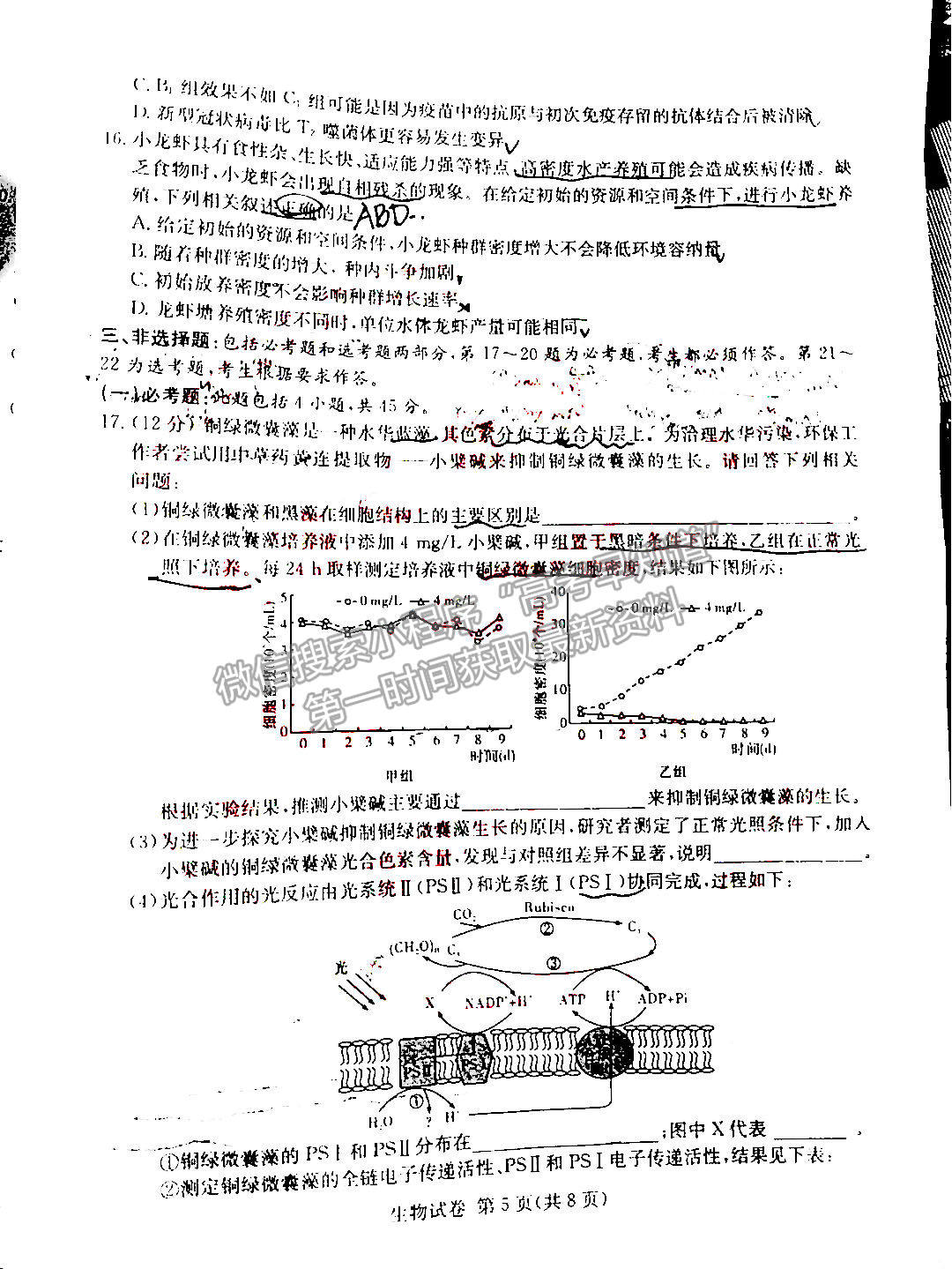 2022屆湖南新高考教學教研聯(lián)盟（五市十校）高三第一次聯(lián)考生物試題及參考答案