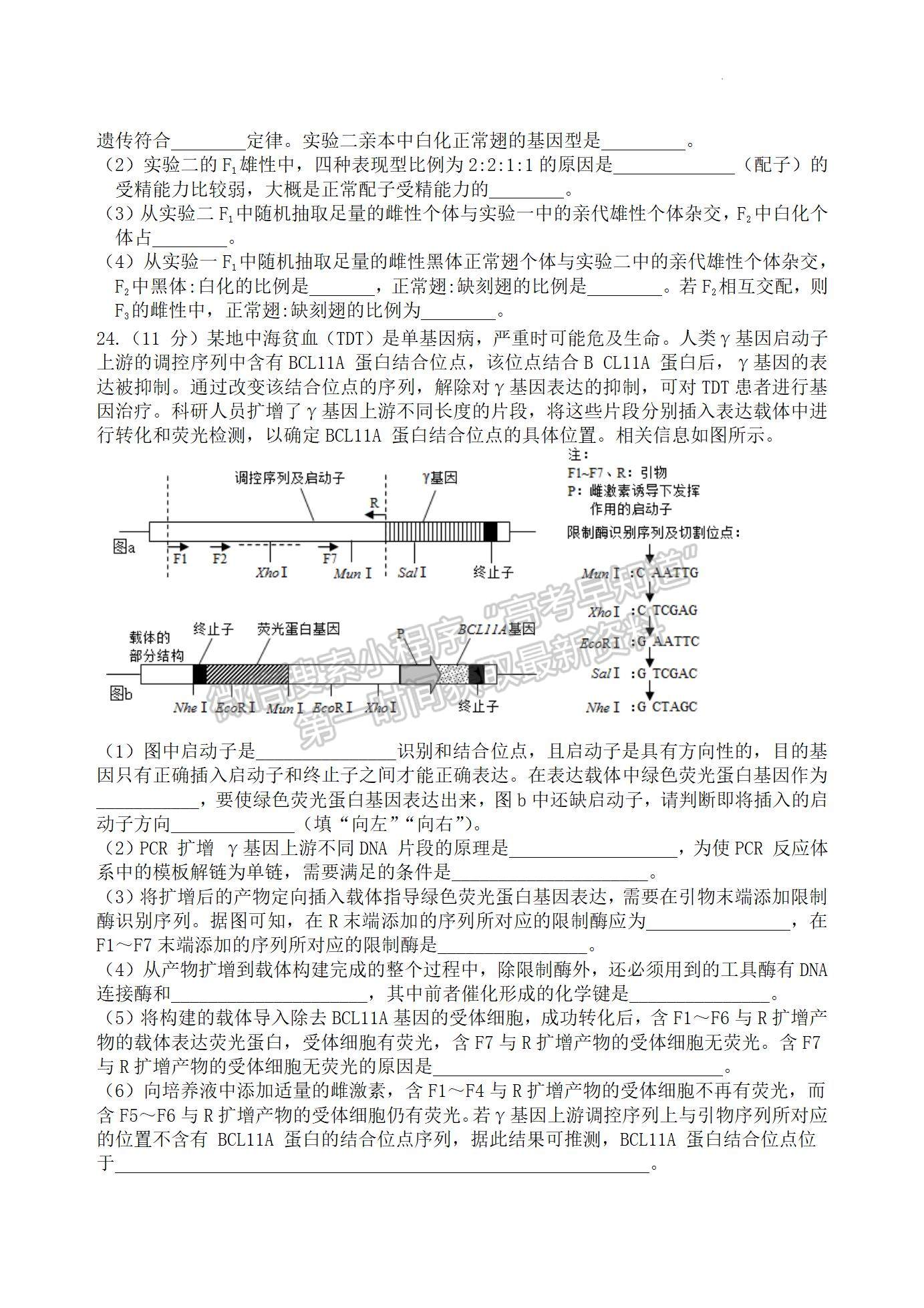 2022屆江蘇省揚(yáng)州中學(xué)高三3月月考生物試題及答案