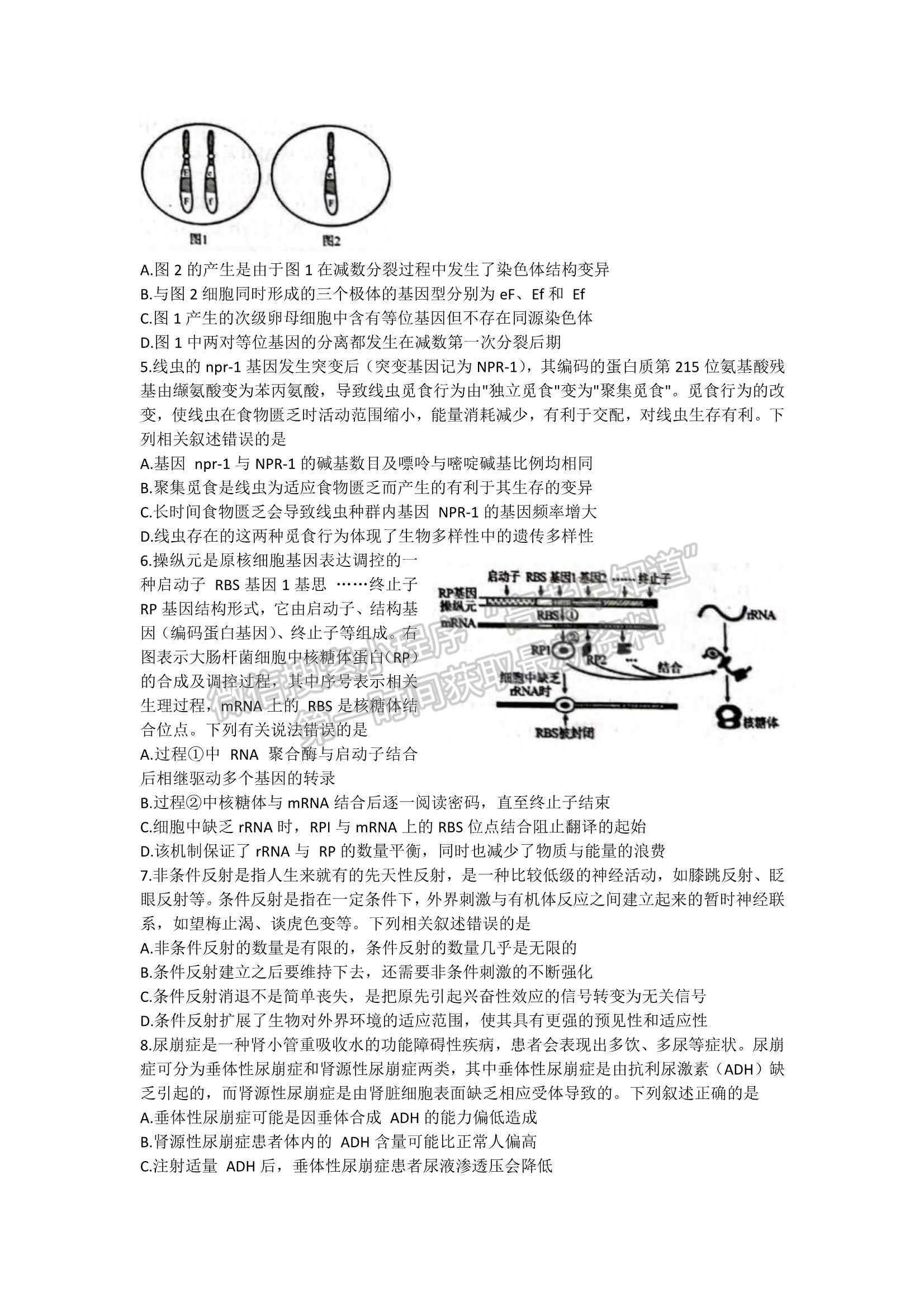 山東省日照市2022屆高三模擬考試（一模）生物試題及參考答案