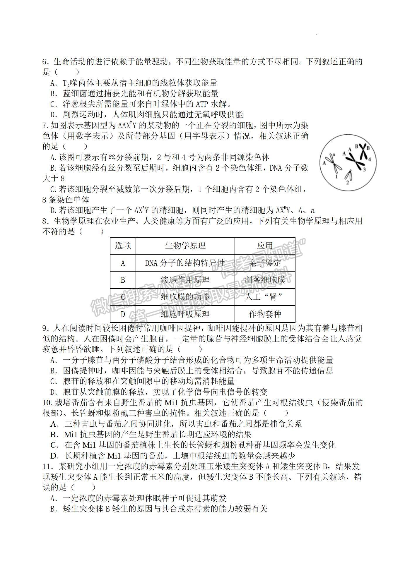 2022屆江蘇省揚(yáng)州中學(xué)高三3月月考生物試題及答案