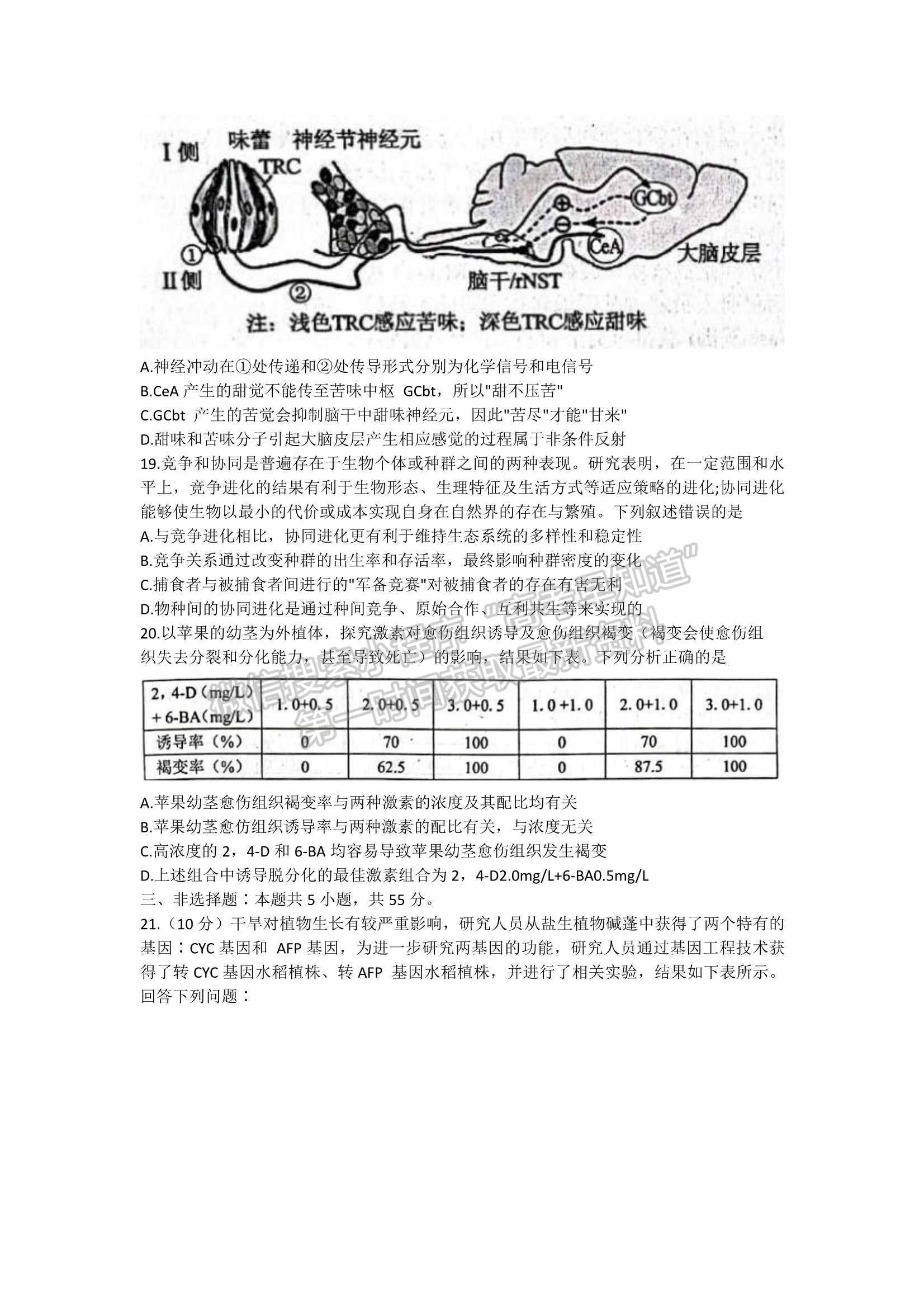 山東省日照市2022屆高三模擬考試（一模）生物試題及參考答案