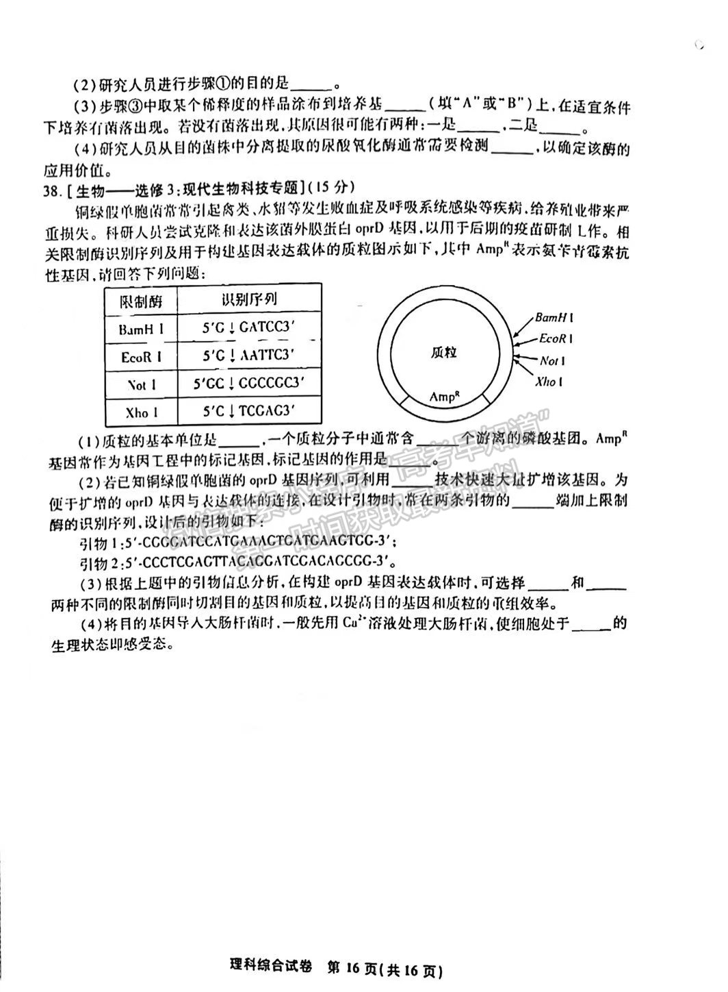 2022安徽江南十校高三一模聯(lián)考理綜試卷及答案