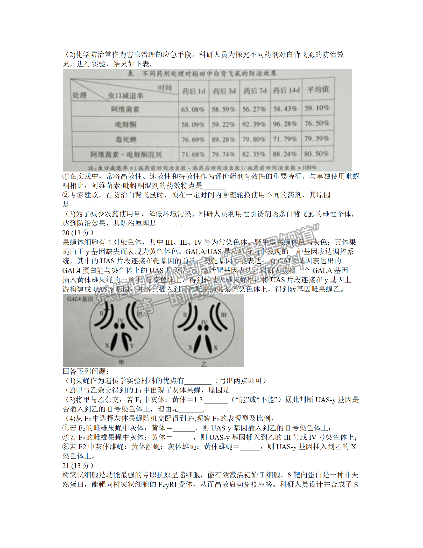 2022年3月廈門高三市質(zhì)檢生物試卷答案