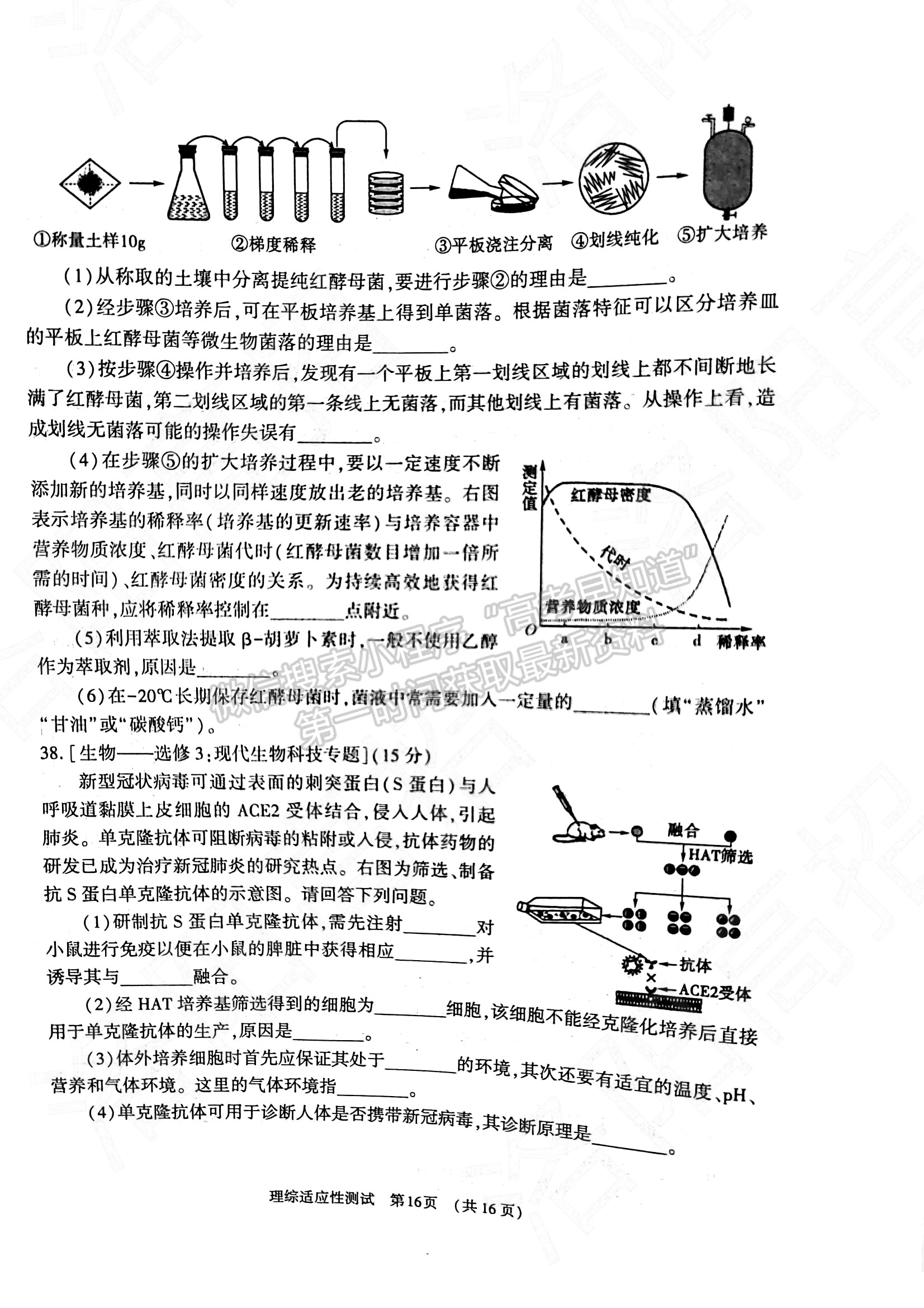 2022河南省高三3月適應(yīng)性測試?yán)砭C試題及參考答案