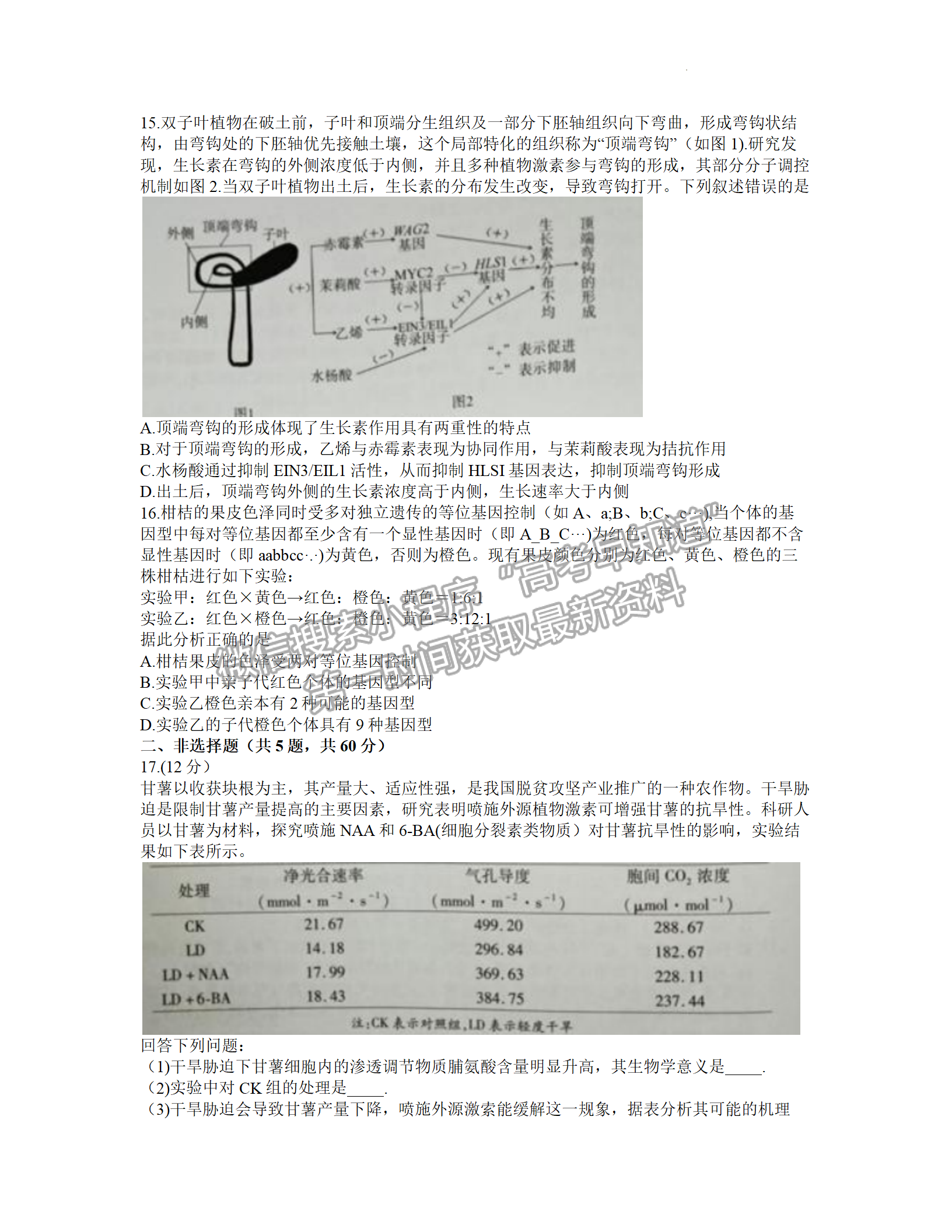 2022年3月廈門高三市質(zhì)檢生物試卷答案