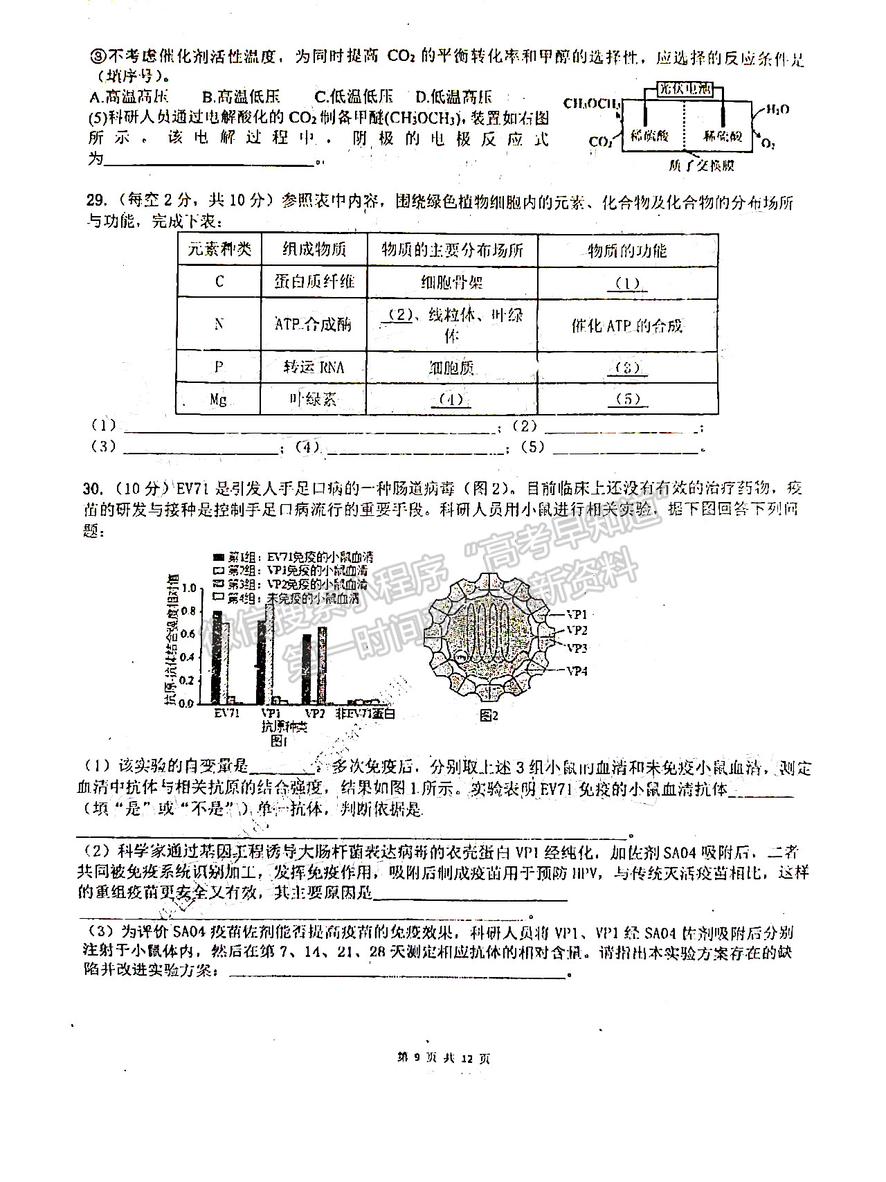 2022成都七中2021-2022下學(xué)期高2022屆二診模擬考試?yán)砜凭C合試卷及答案