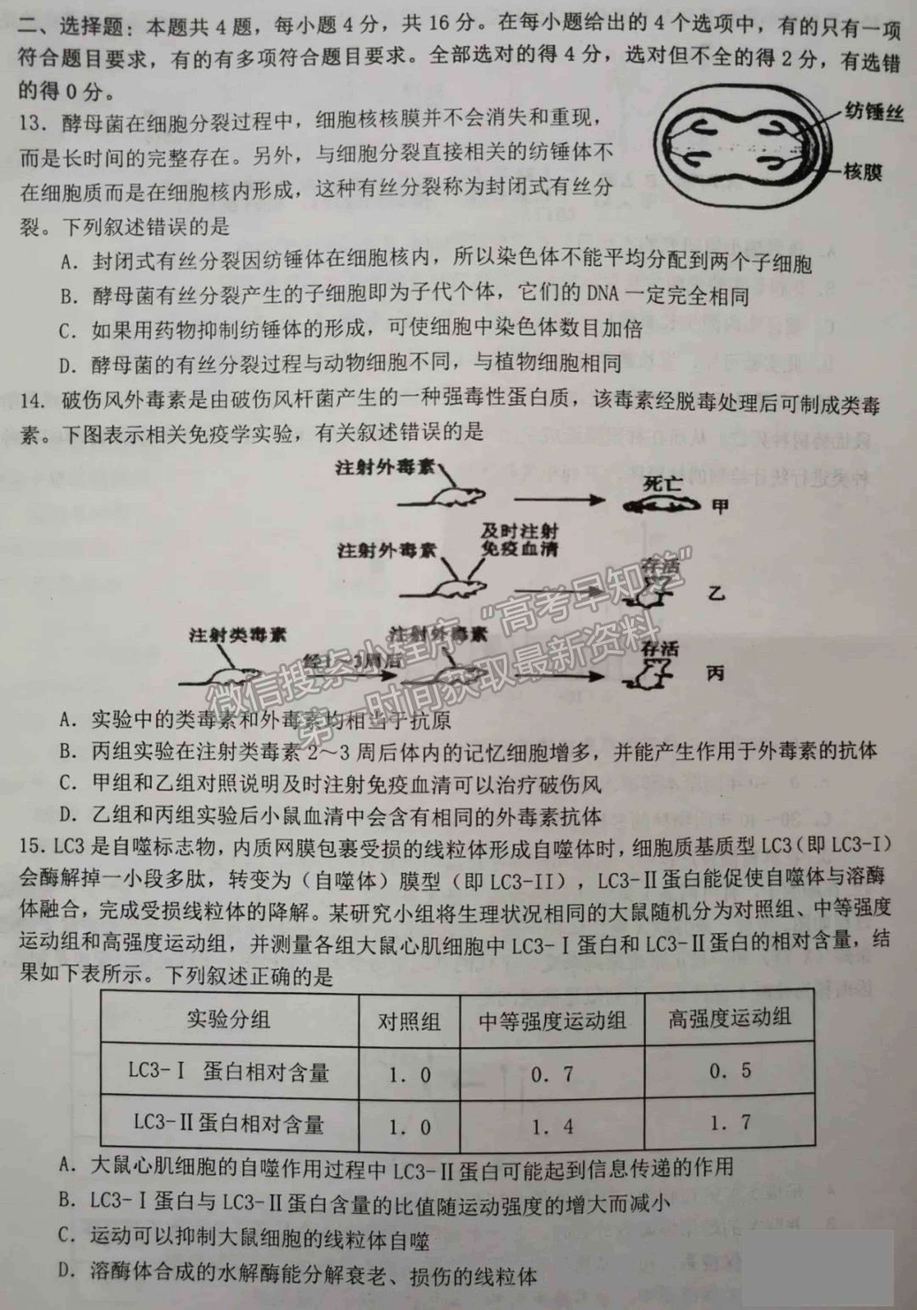 2022屆湖南省高三下學(xué)期3月調(diào)研生物試題及參考答案