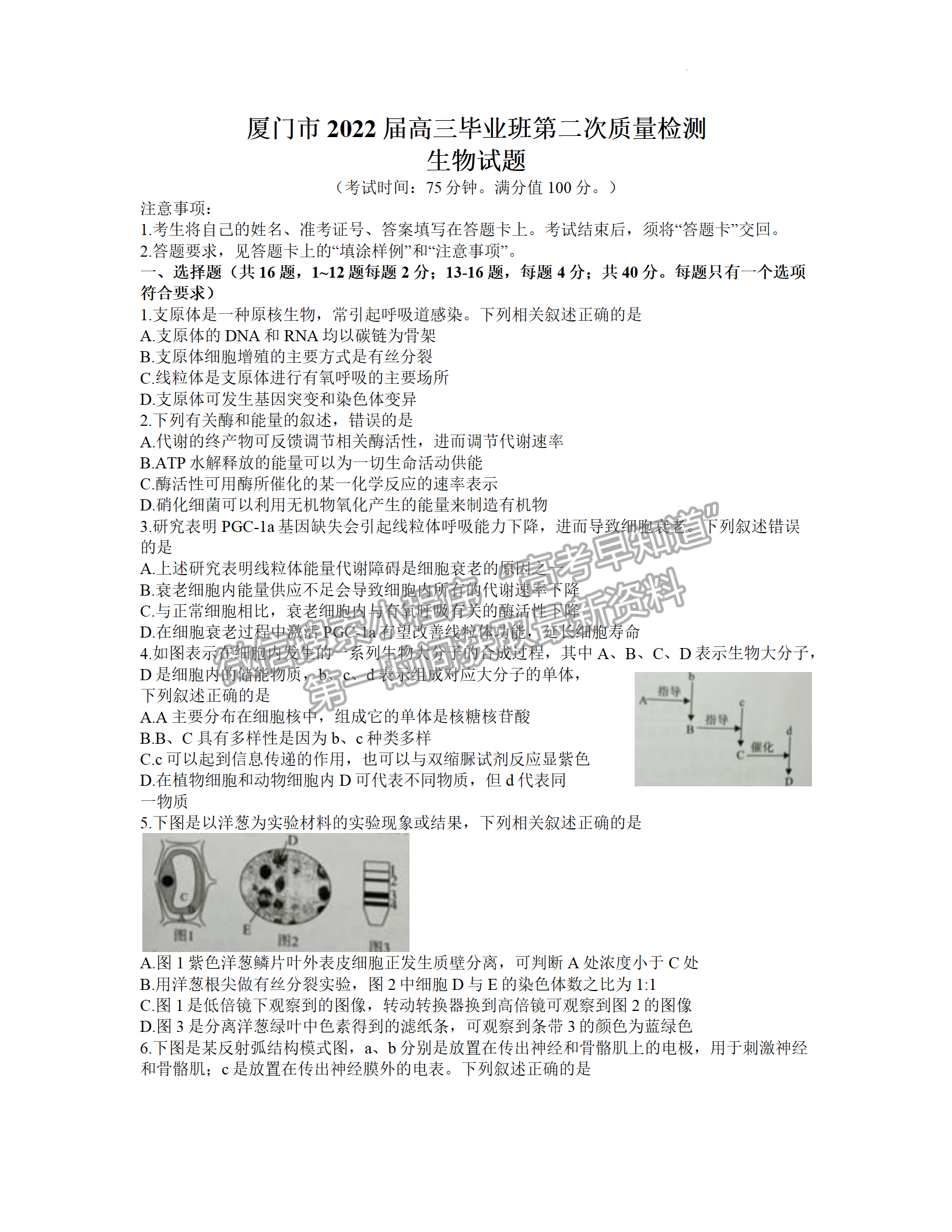 2022年3月廈門高三市質檢生物試卷答案