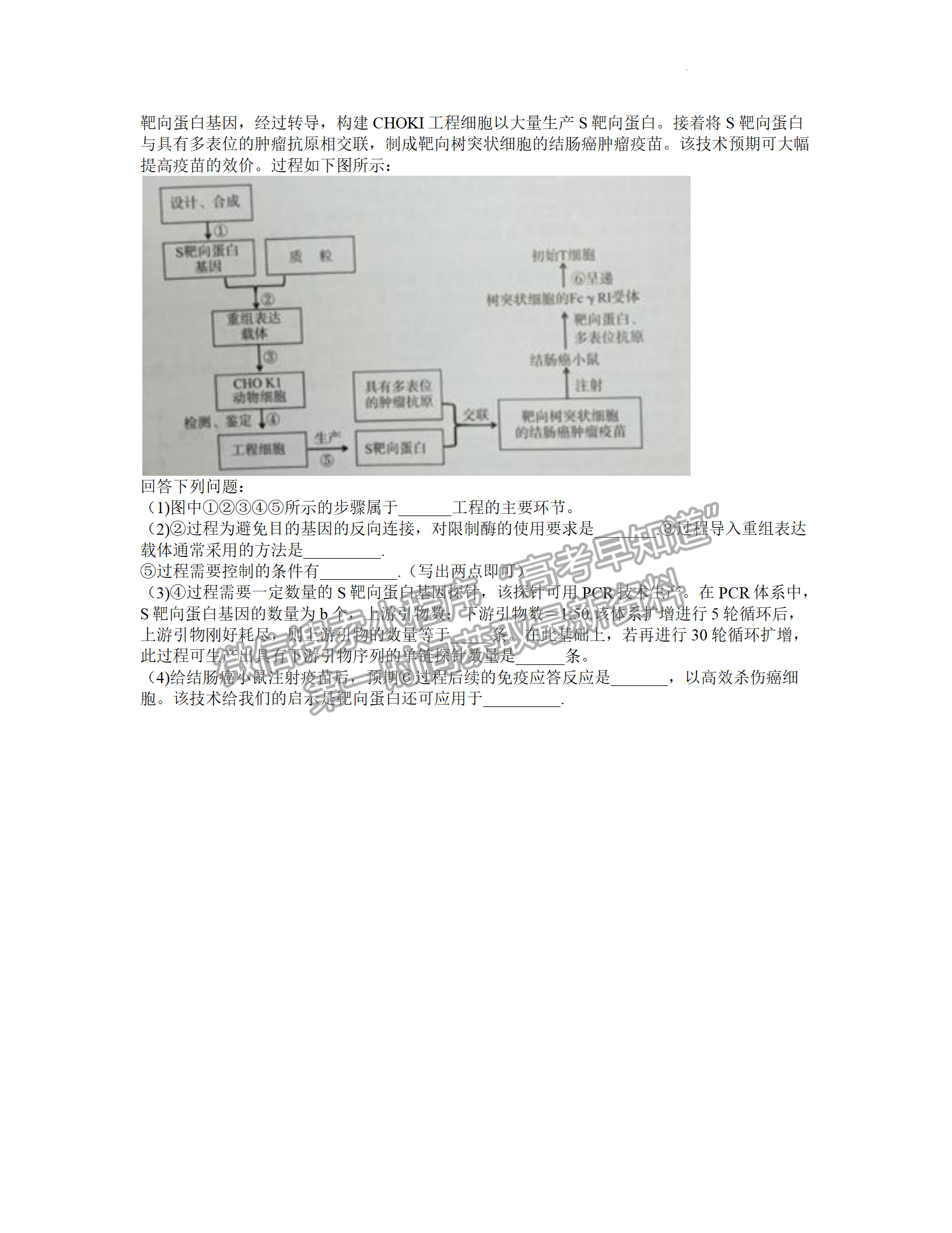 2022年3月廈門高三市質(zhì)檢生物試卷答案