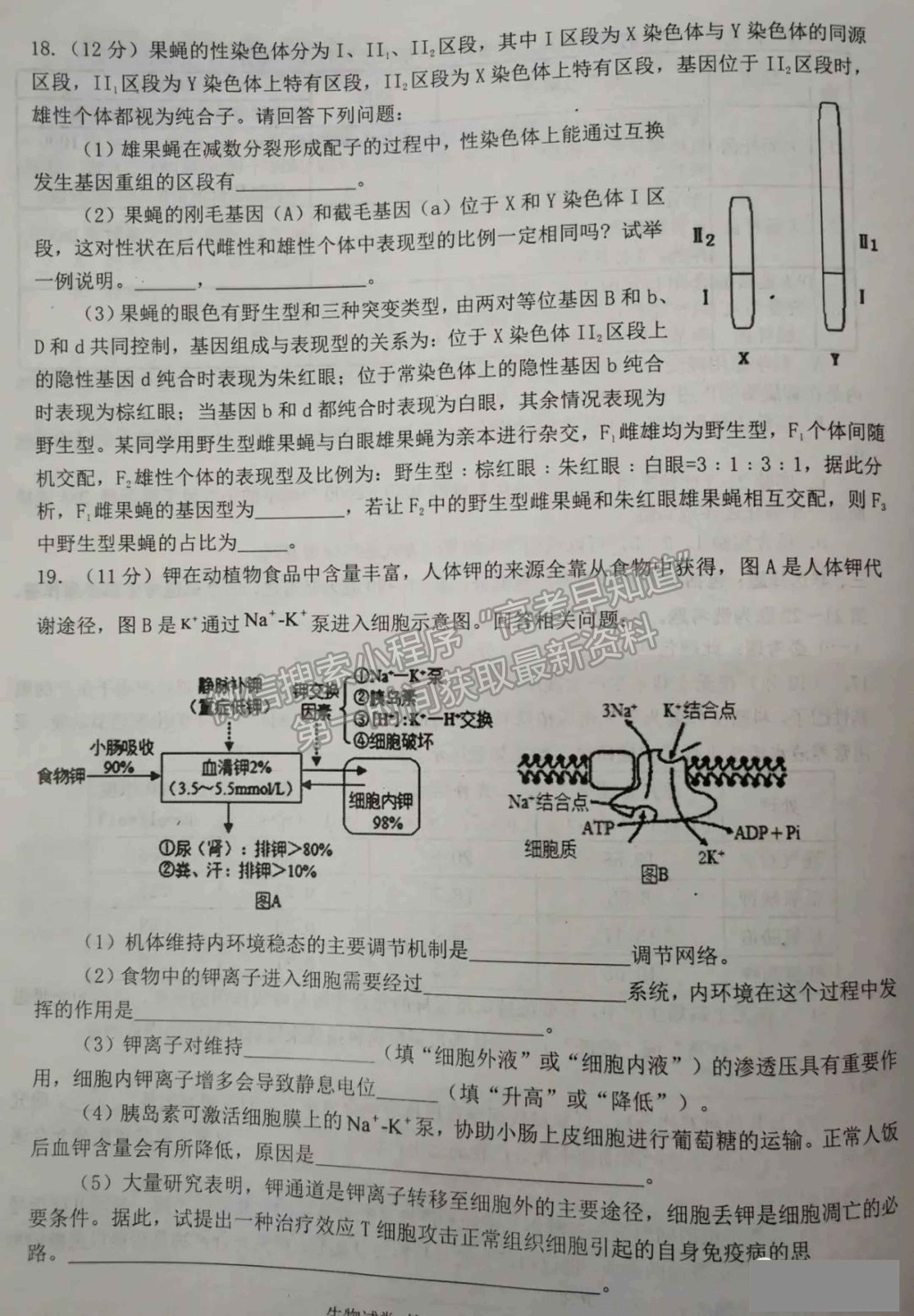 2022屆湖南省高三下學期3月調(diào)研生物試題及參考答案