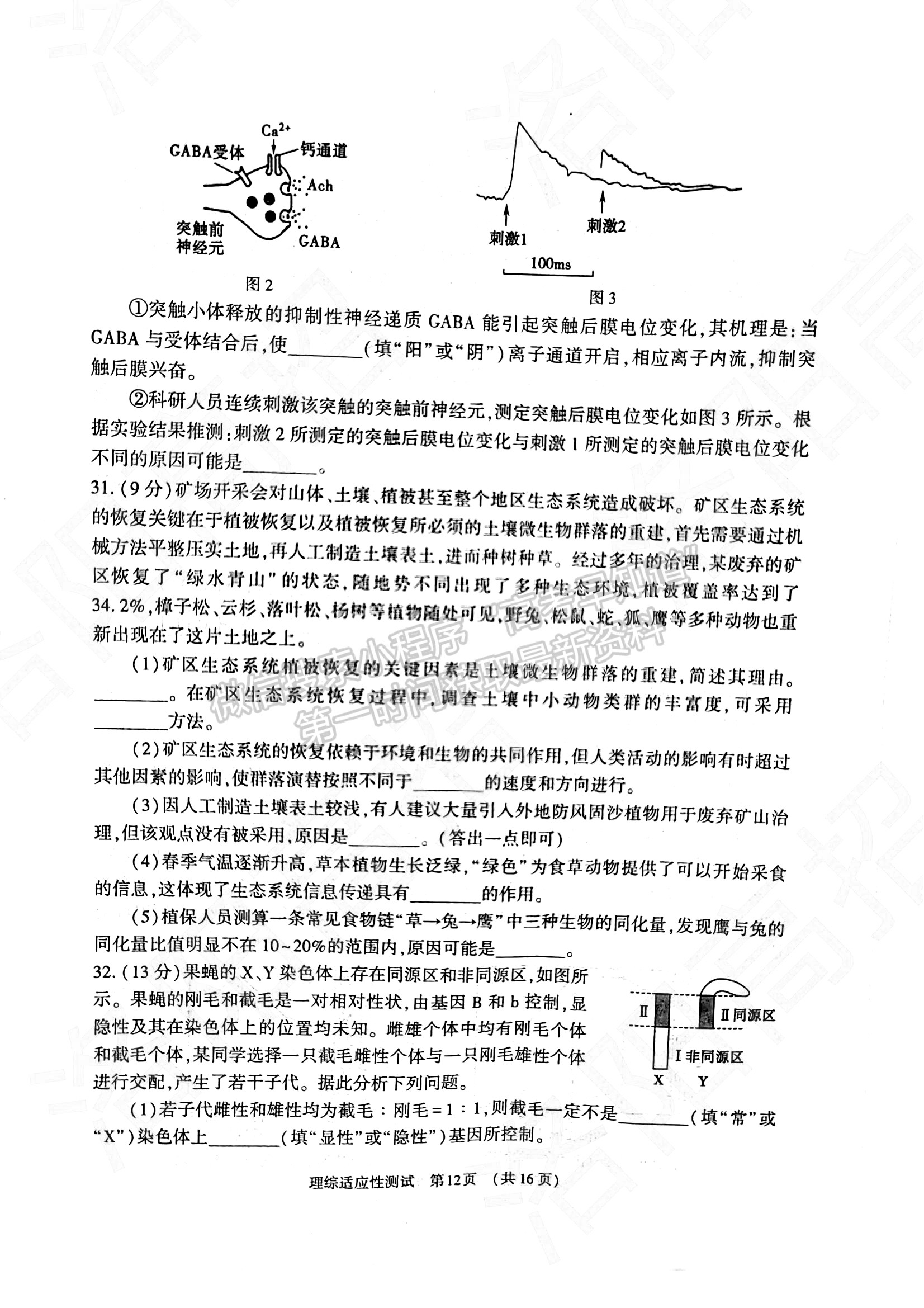 2022河南省高三3月適應(yīng)性測試?yán)砭C試題及參考答案