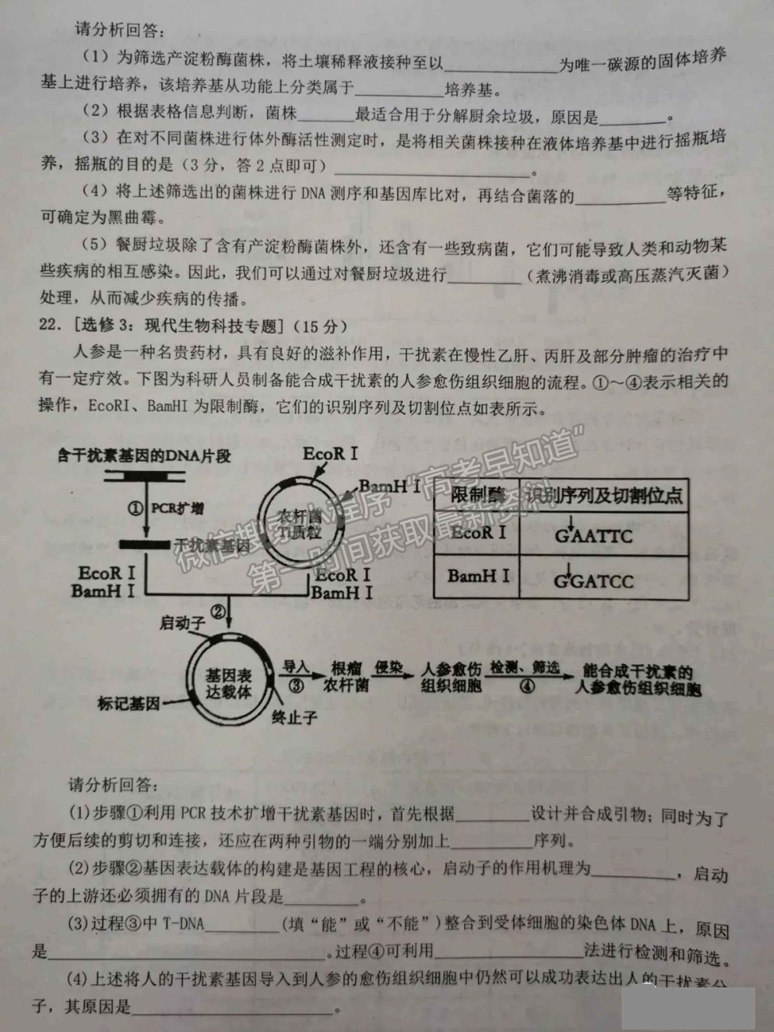 2022屆湖南省高三下學(xué)期3月調(diào)研生物試題及參考答案