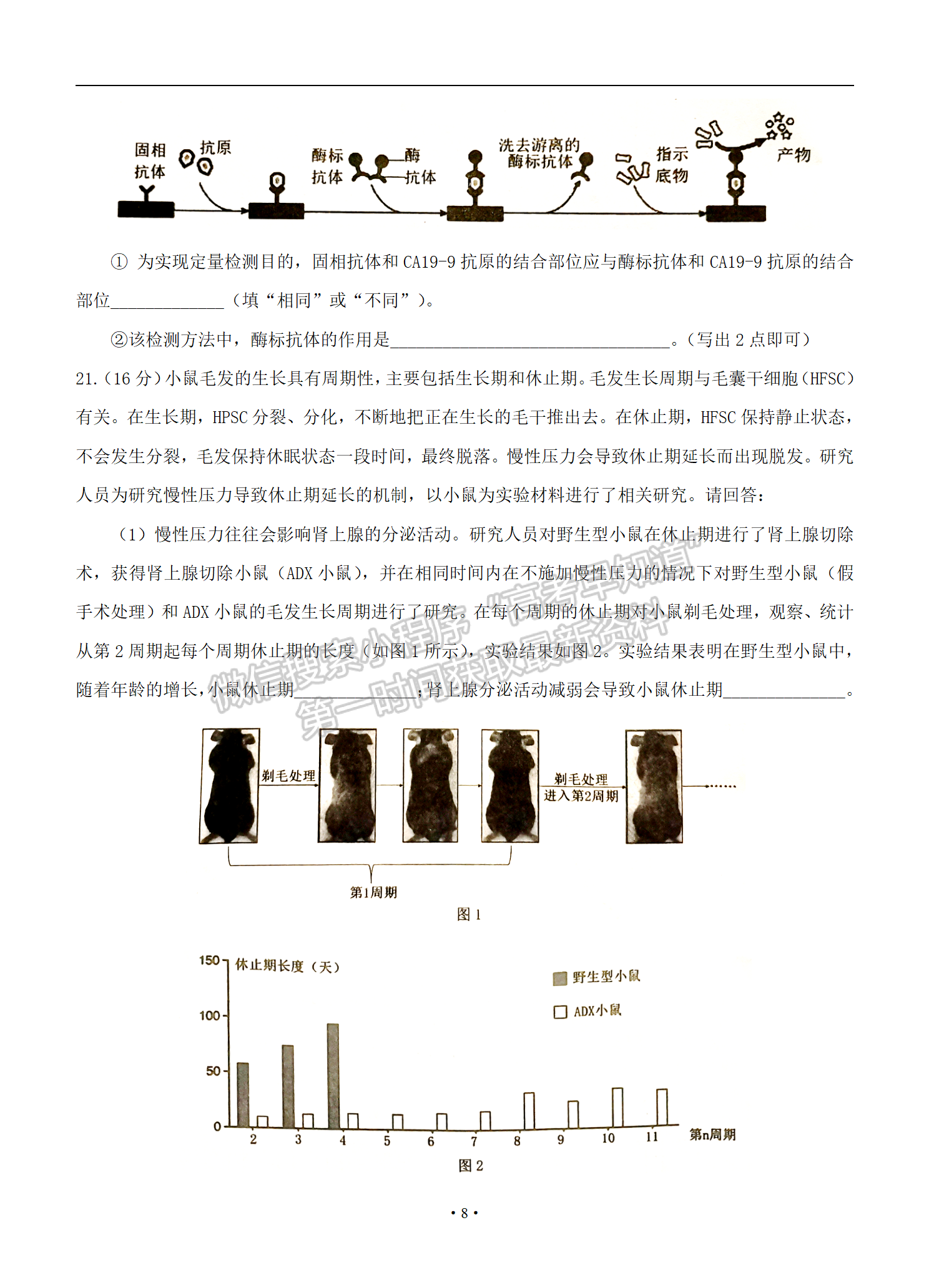 2022年3月泉州、三明高三市質(zhì)檢生物試卷答案