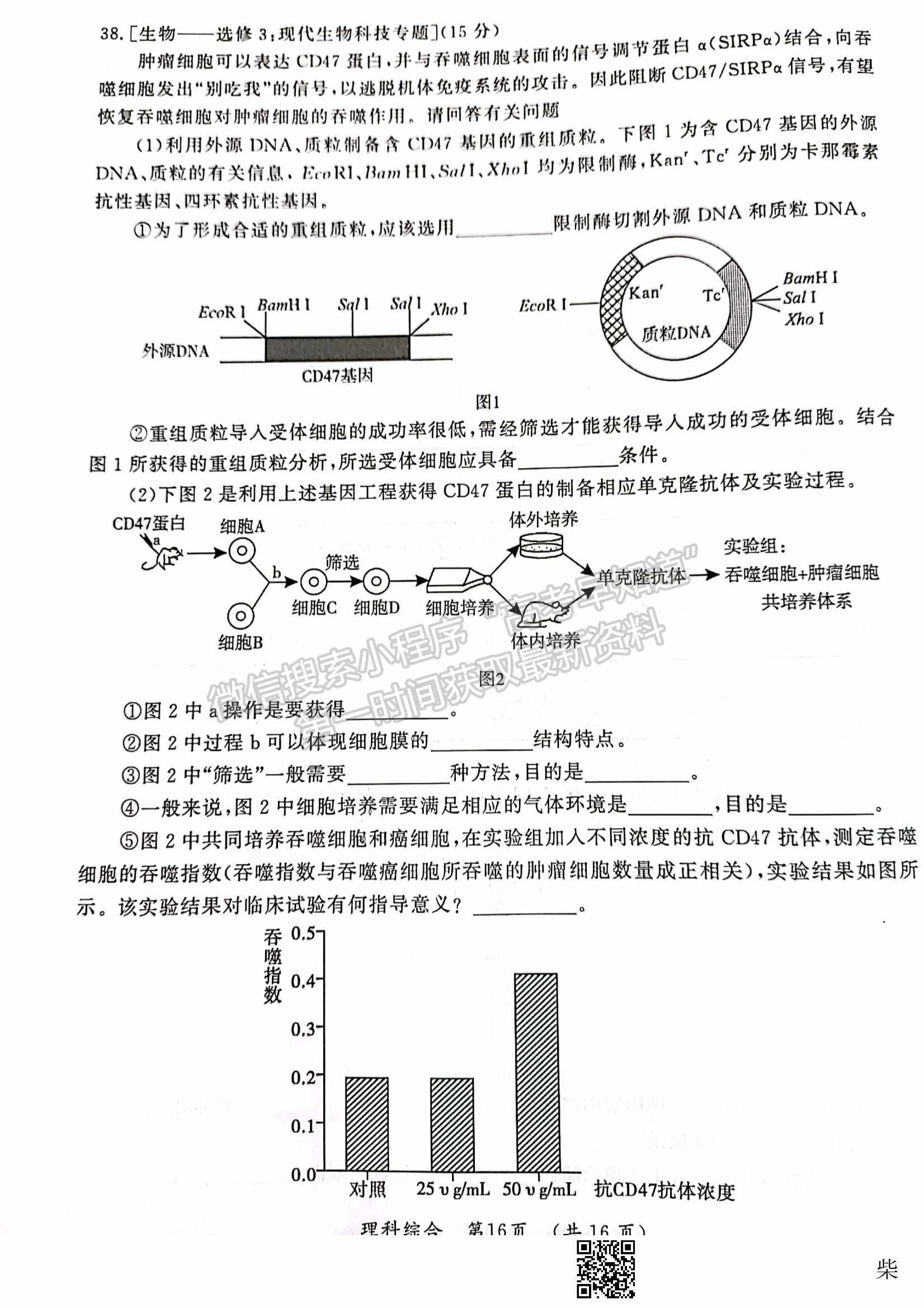 2022開封二模理綜試題及參考答案