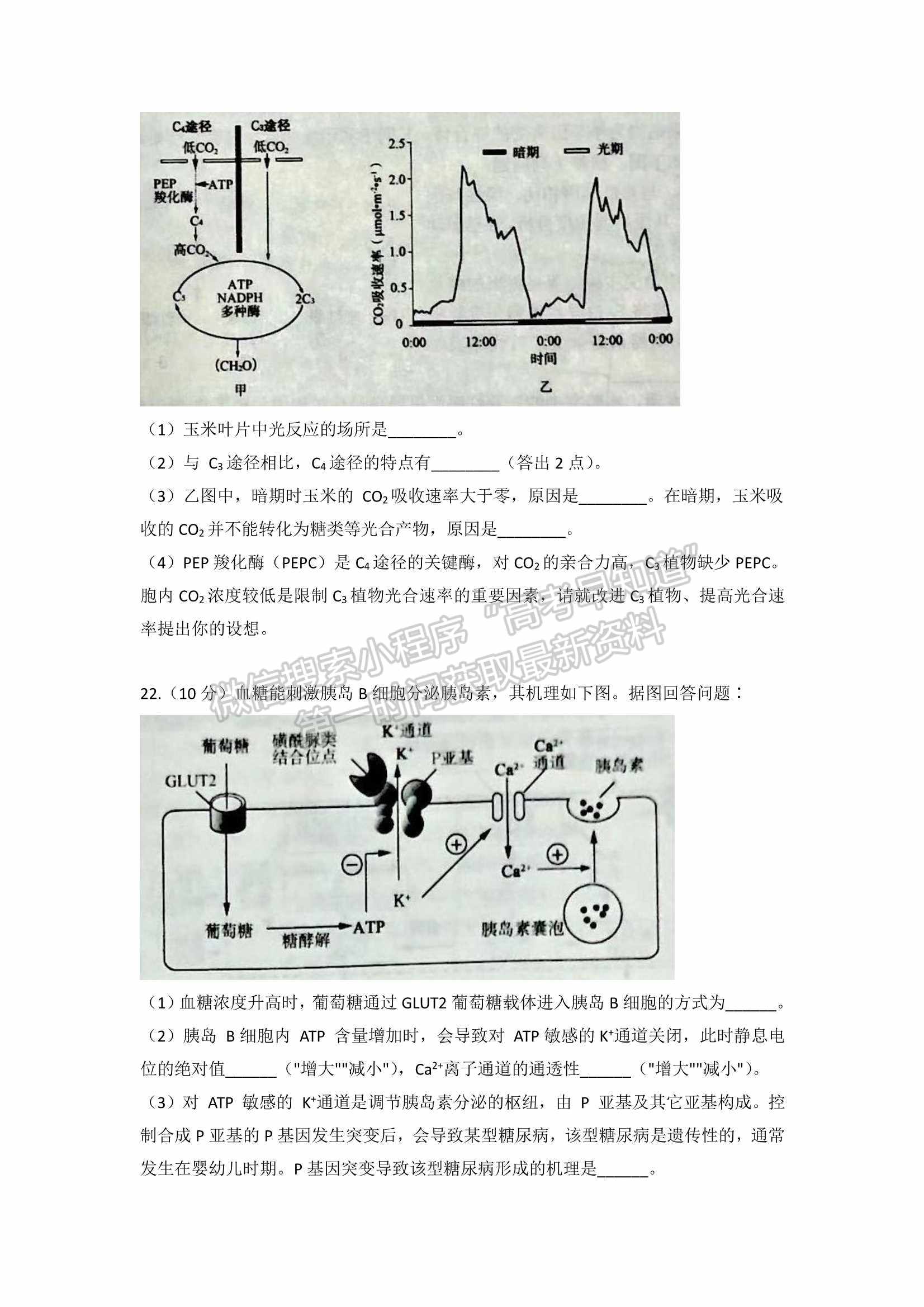 2022山東淄博一模生物試題及參考答案