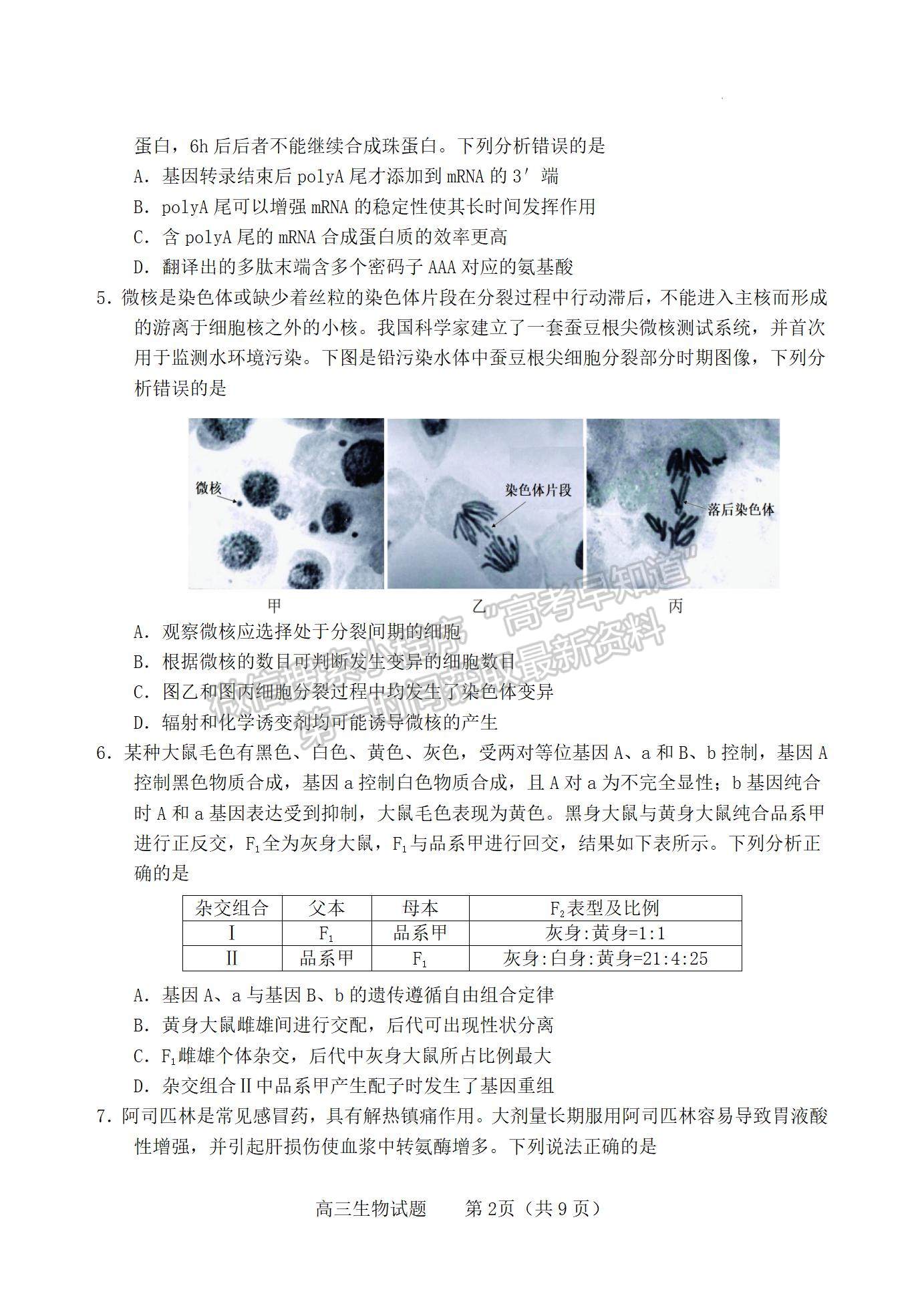  2022山東煙臺(tái)一模生物試題及參考答案