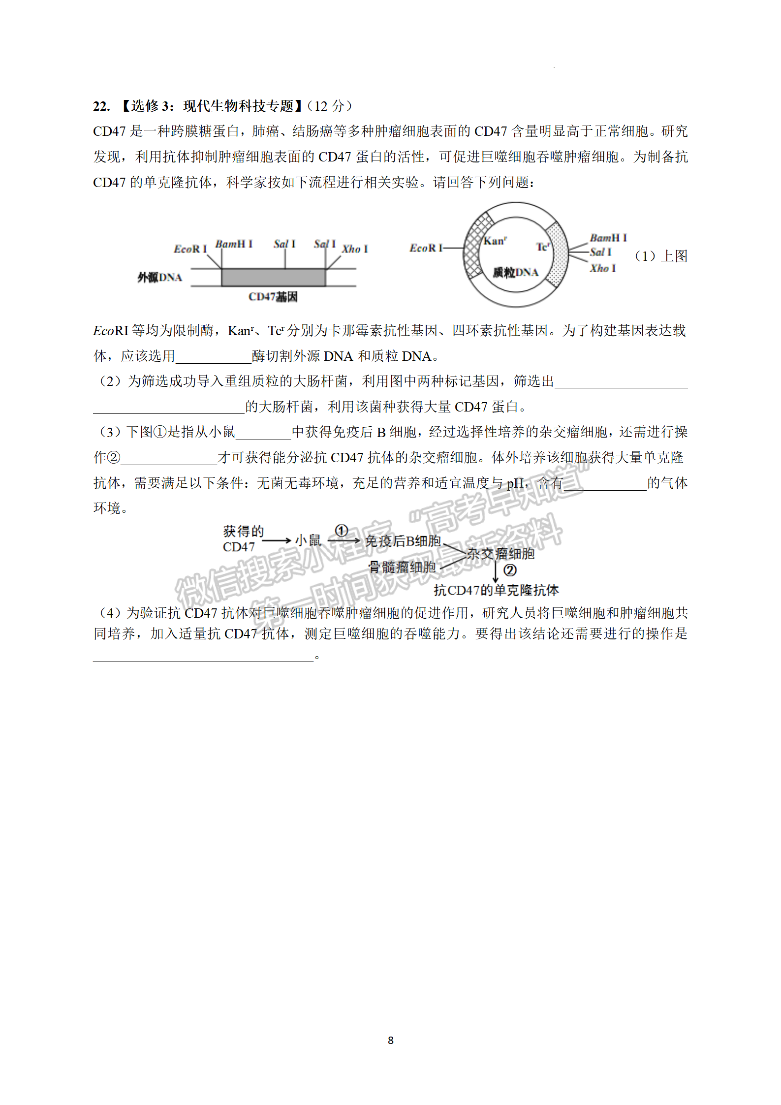 2022廣東六校高三下學(xué)期第四次聯(lián)考生物試卷及答案