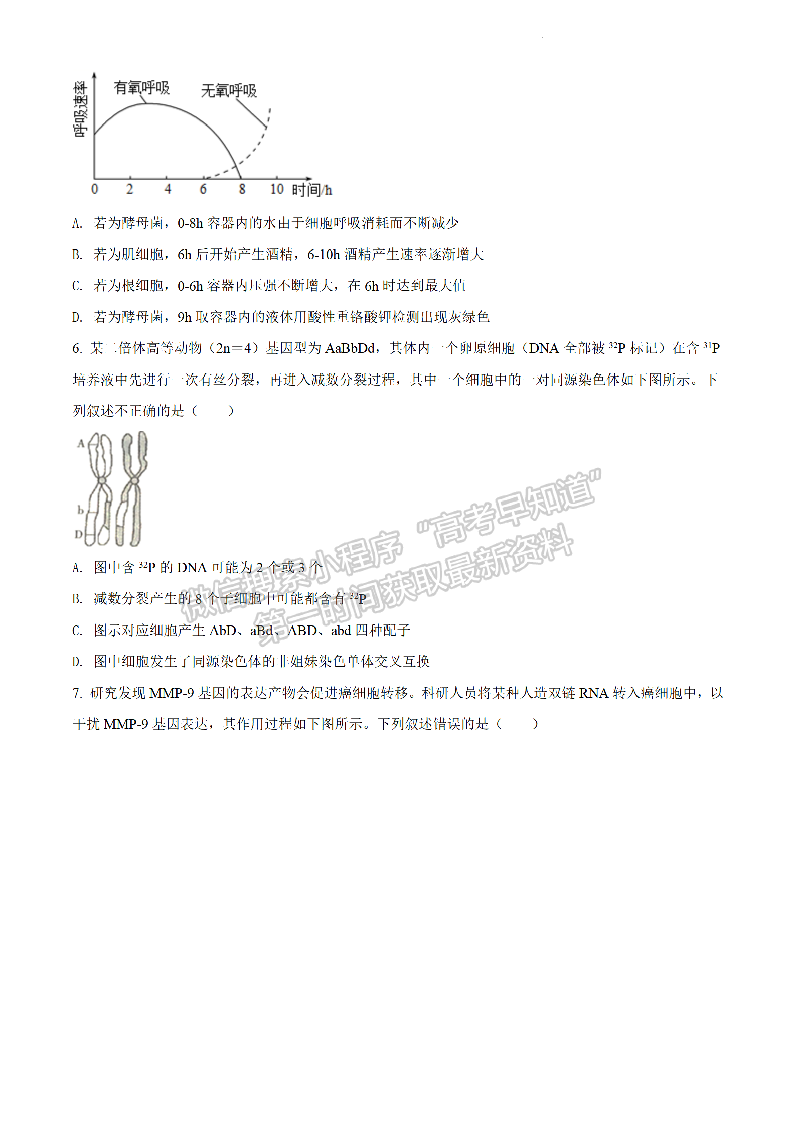 2022年3月石家庄一模生物试卷答案