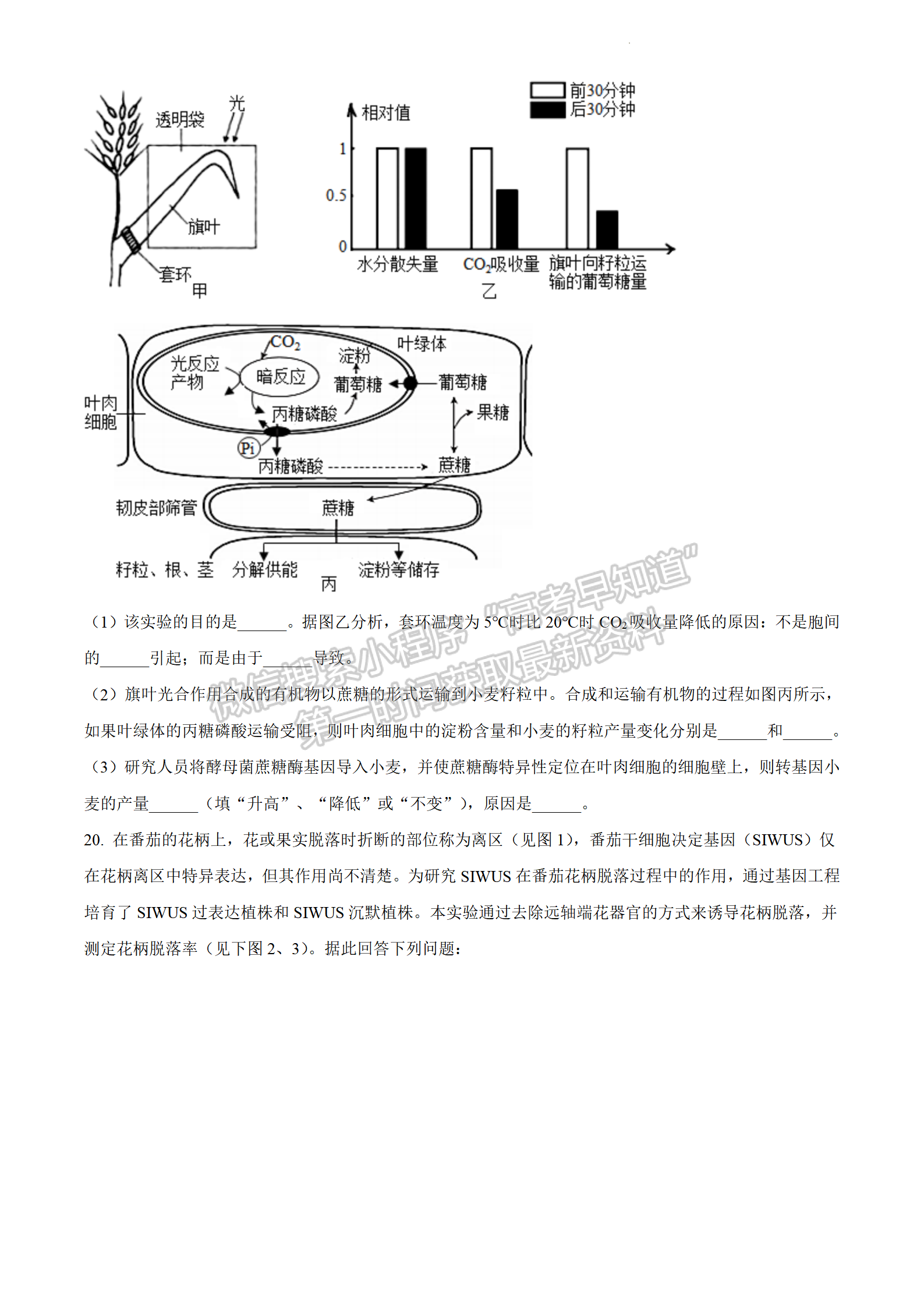 2022年3月石家莊一模生物試卷答案