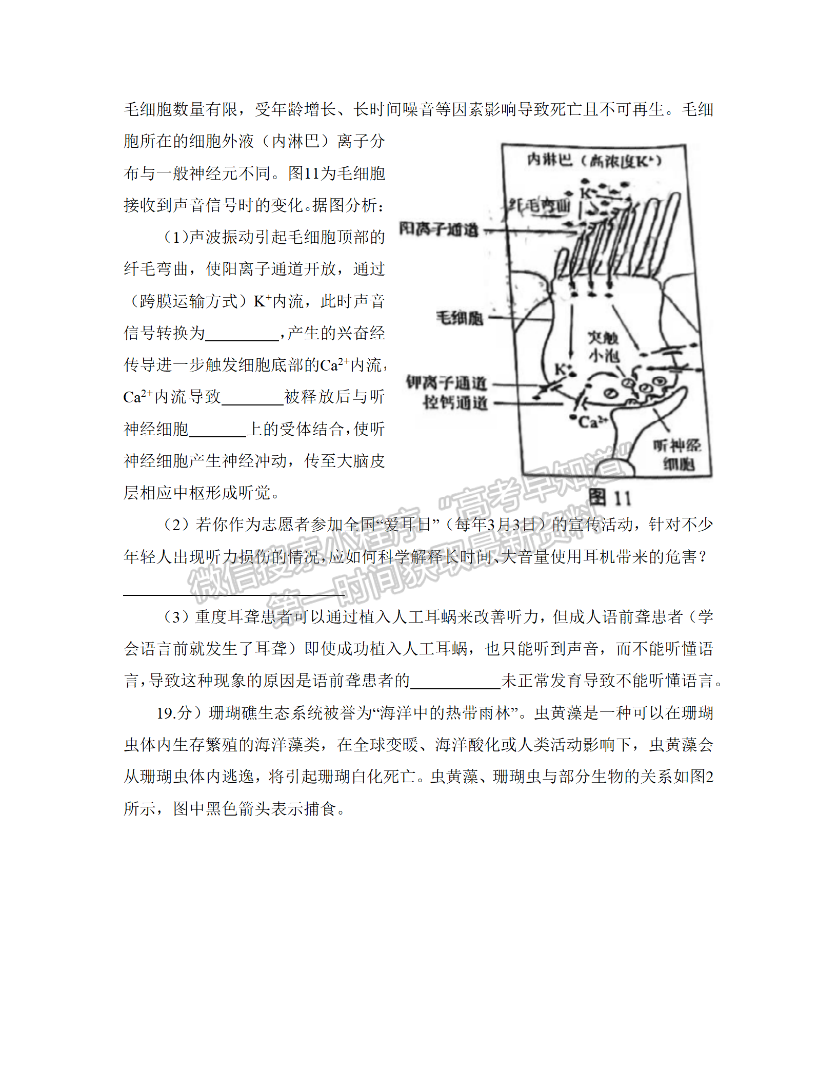 2022江門一模生物試題及參考答案