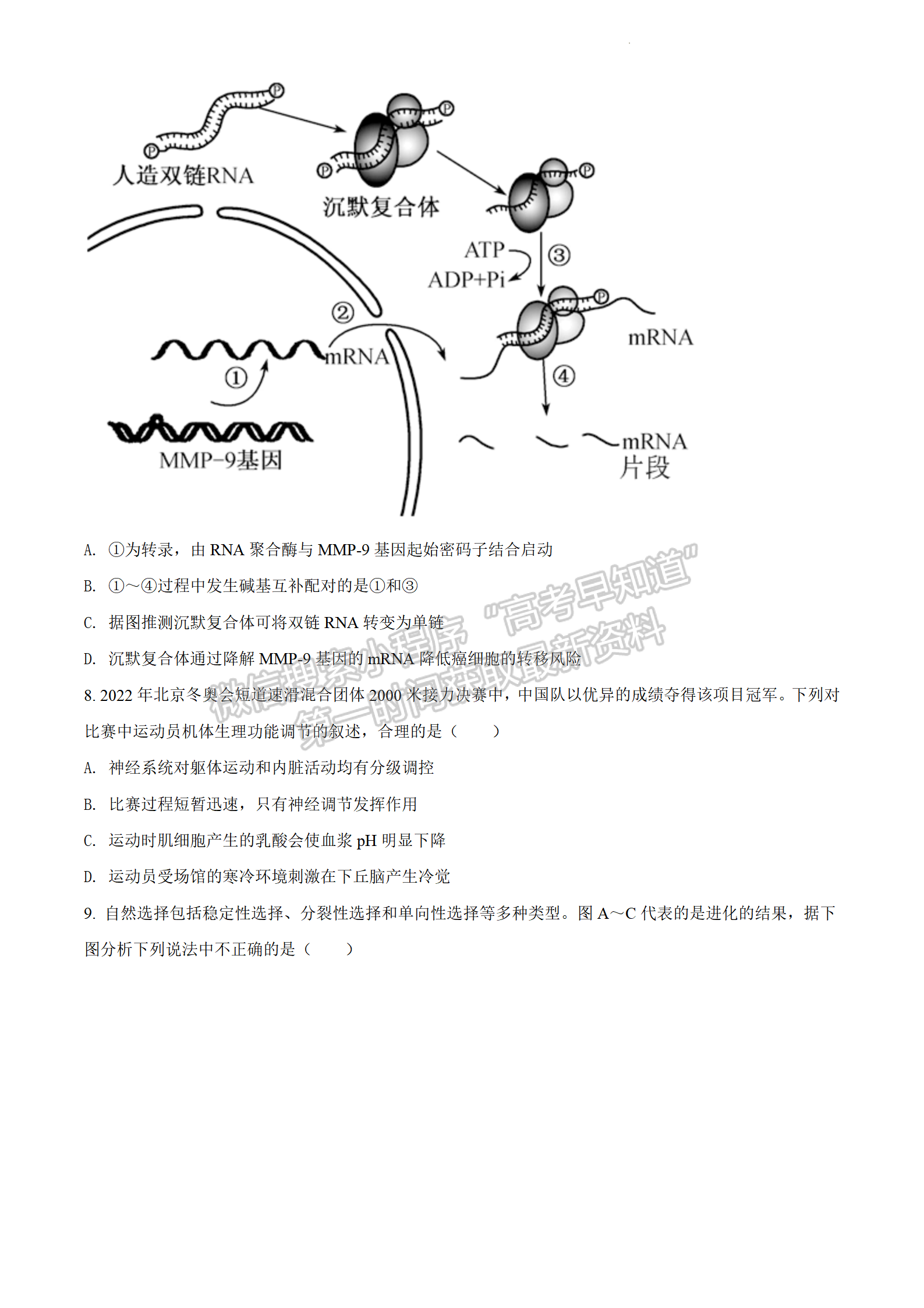 2022年3月石家莊一模生物試卷答案