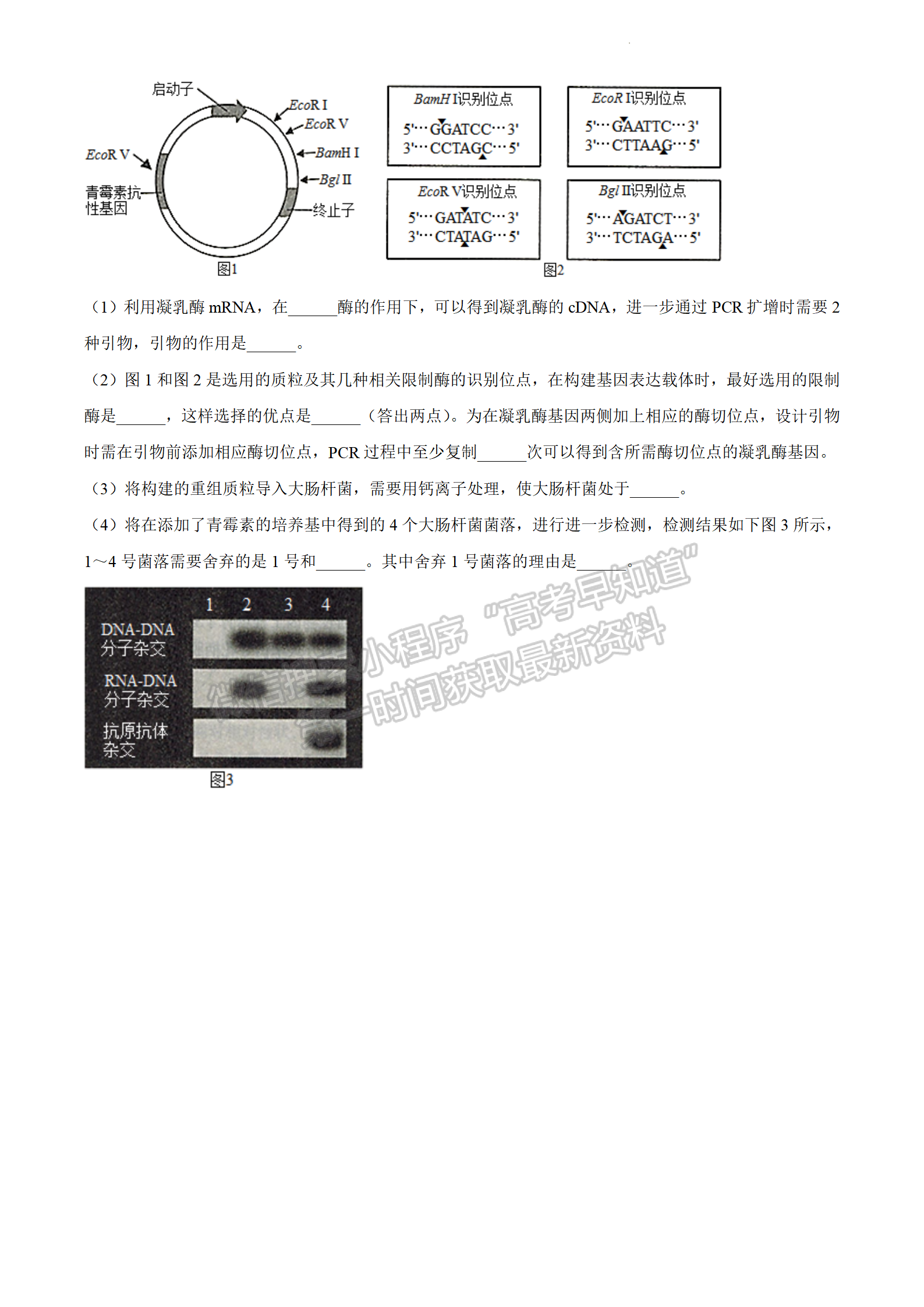 2022年3月石家莊一模生物試卷答案