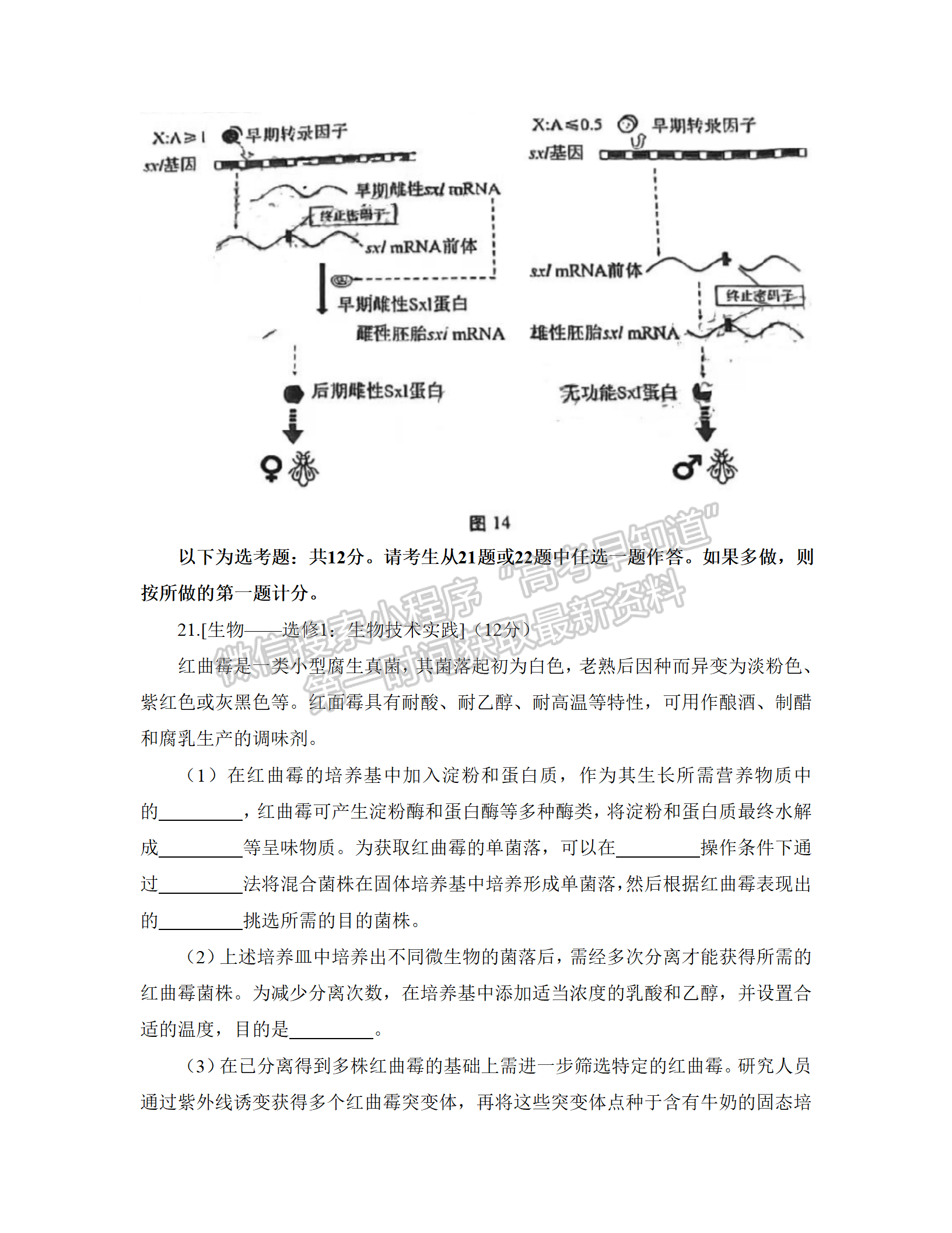 2022江門一模生物試題及參考答案