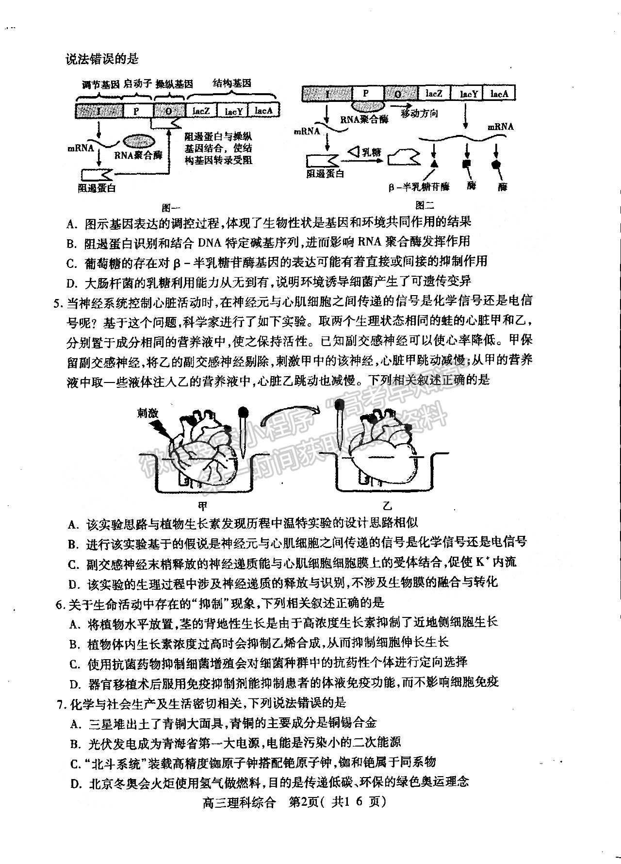 2022許昌/平頂山/濟(jì)源二模理綜試卷及參考答案