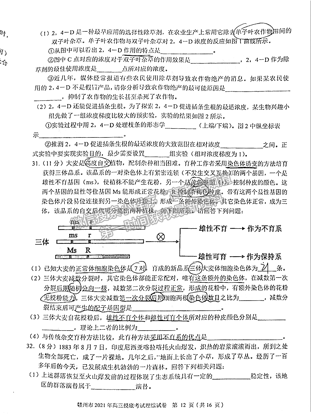 2021年江西省贛州市高三下學期一模理綜試卷及參考答案 