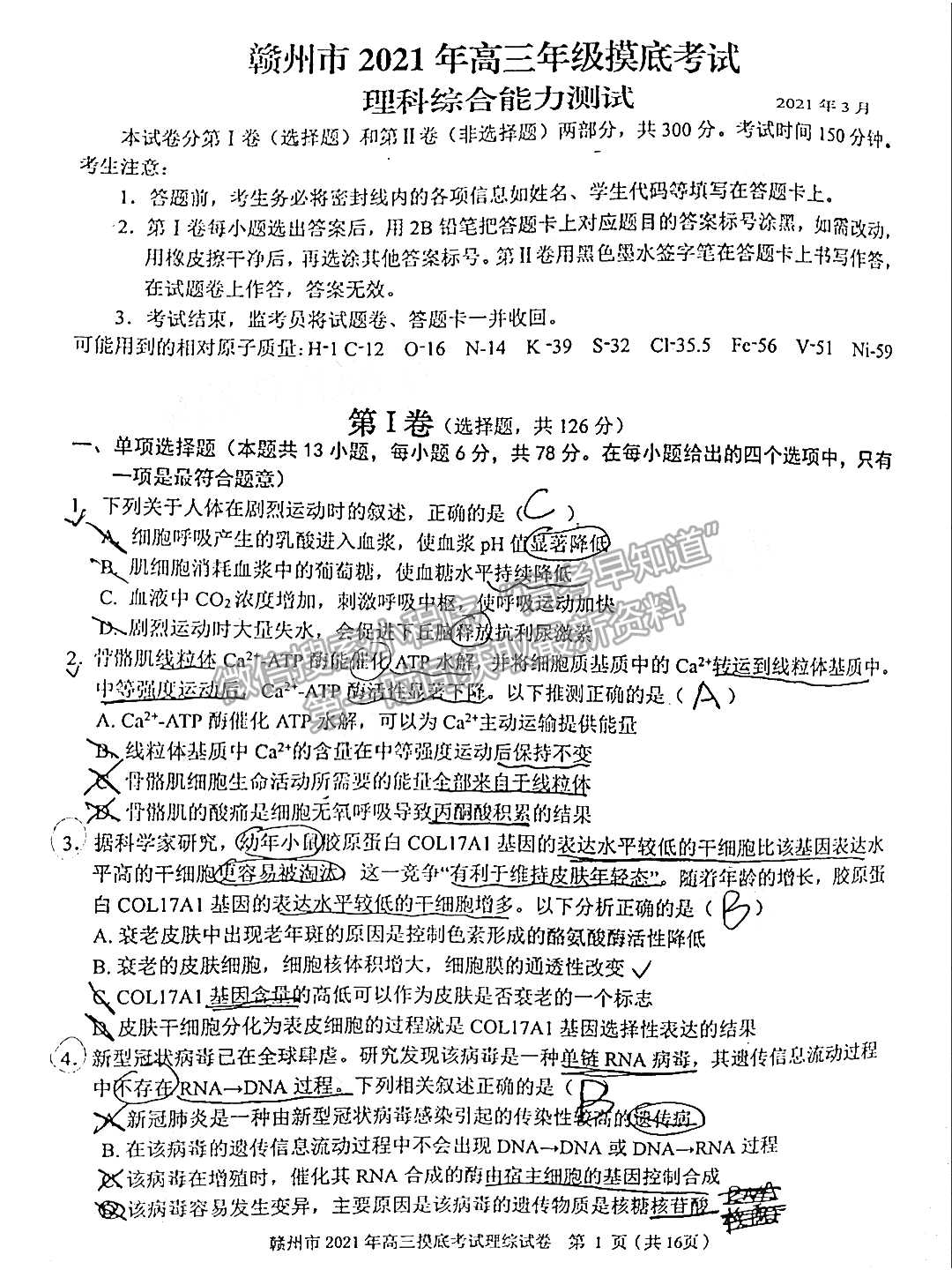 2021年江西省贛州市高三下學(xué)期一模理綜試卷及參考答案 