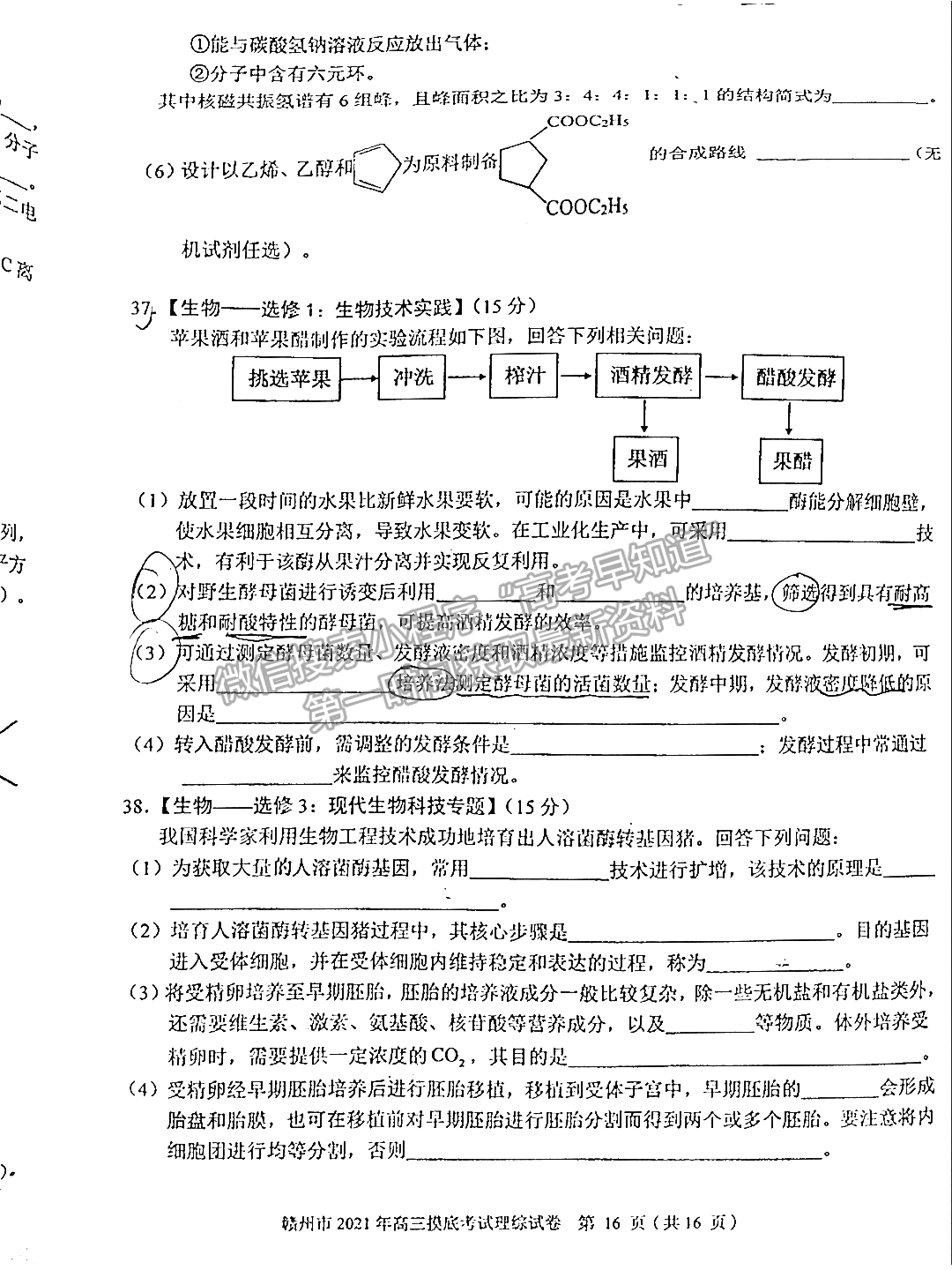 2021年江西省贛州市高三下學期一模理綜試卷及參考答案 