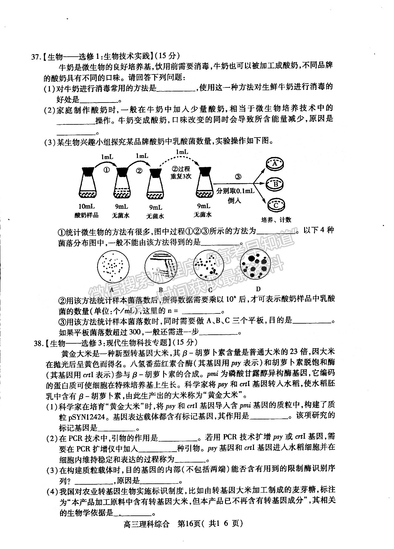 2022許昌/平頂山/濟源二模理綜試卷及參考答案