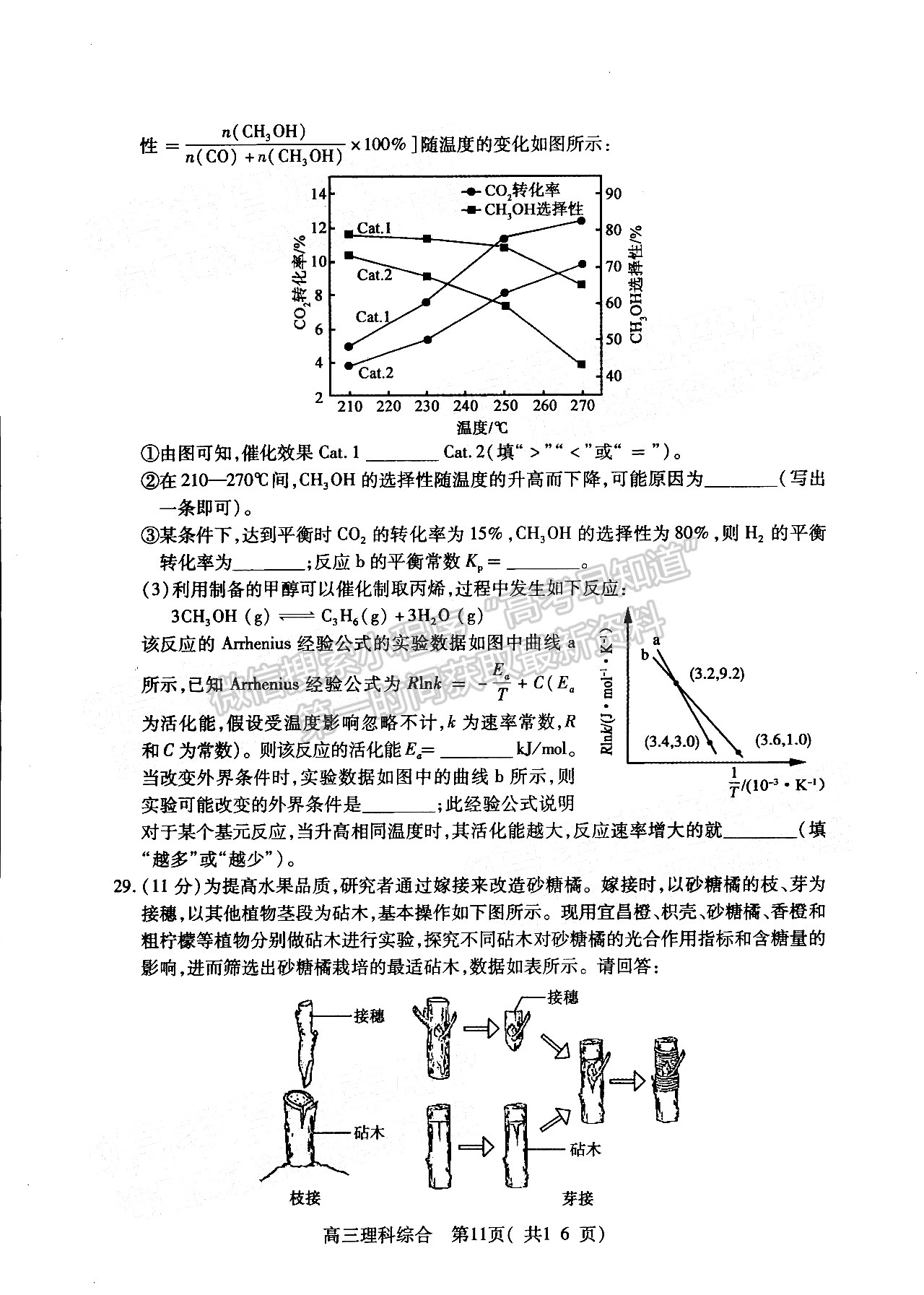 2022許昌/平頂山/濟源二模理綜試卷及參考答案