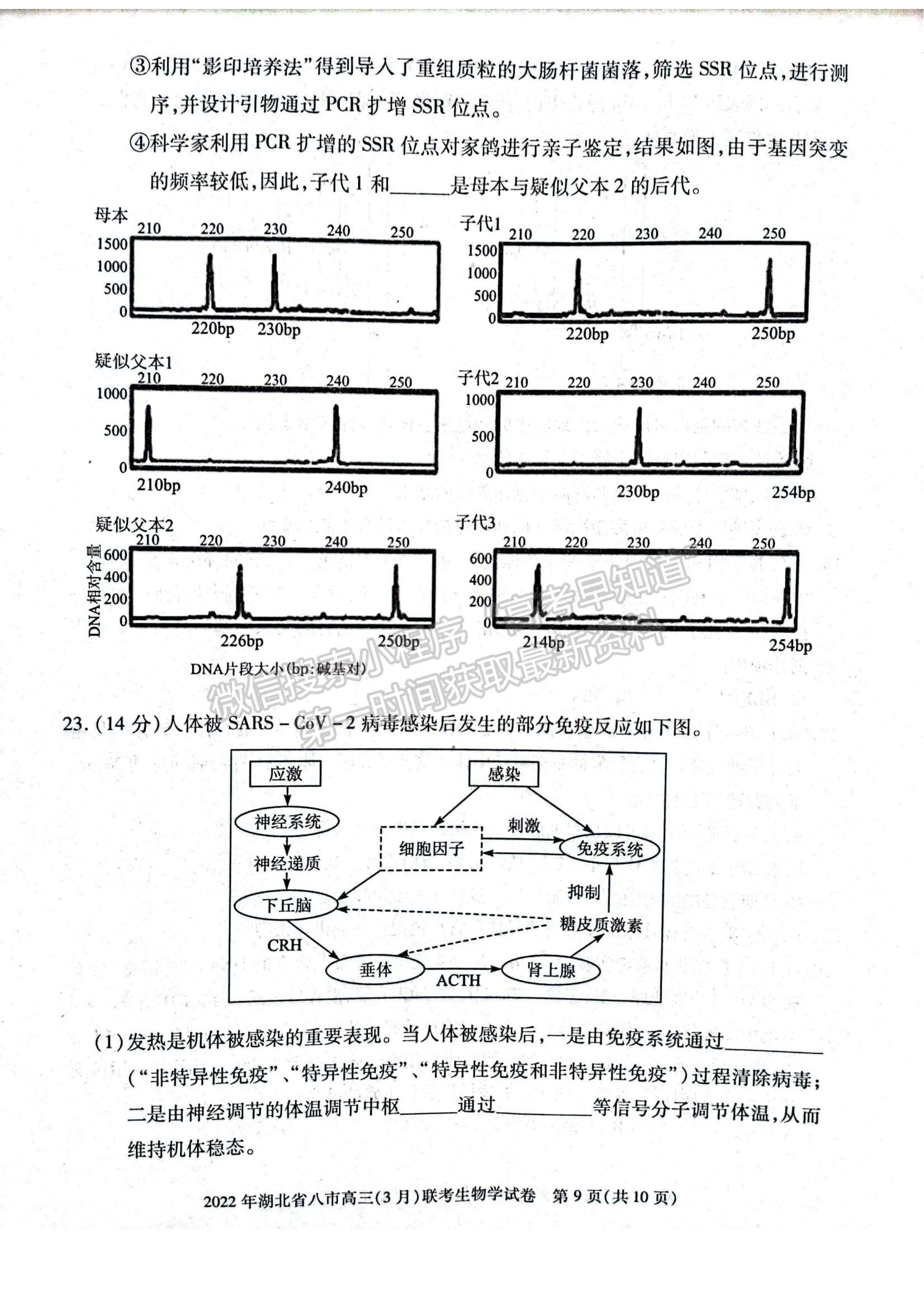 2022湖北八市高三3月聯(lián)考生物試卷及答案