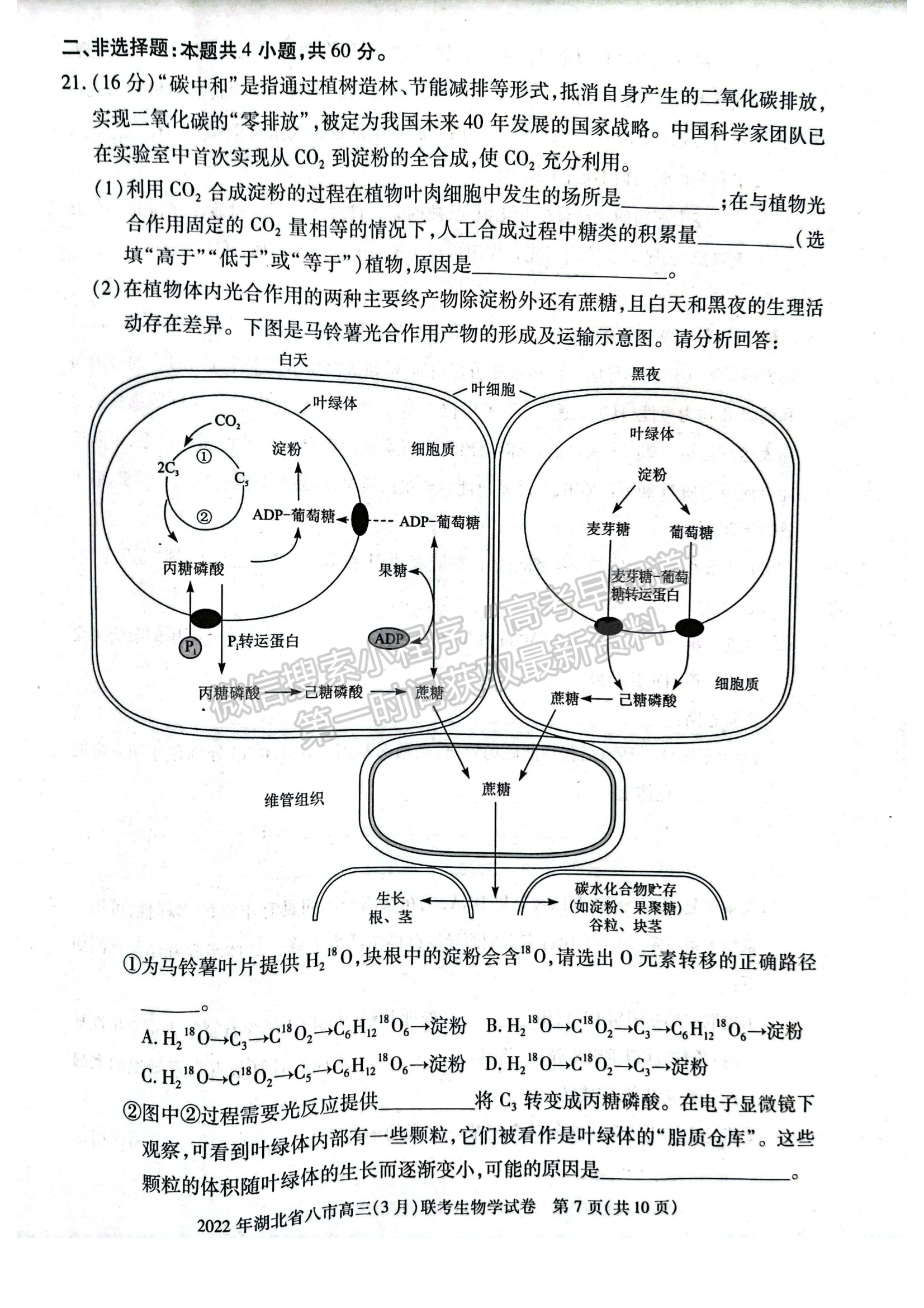 2022湖北八市高三3月聯(lián)考生物試卷及答案