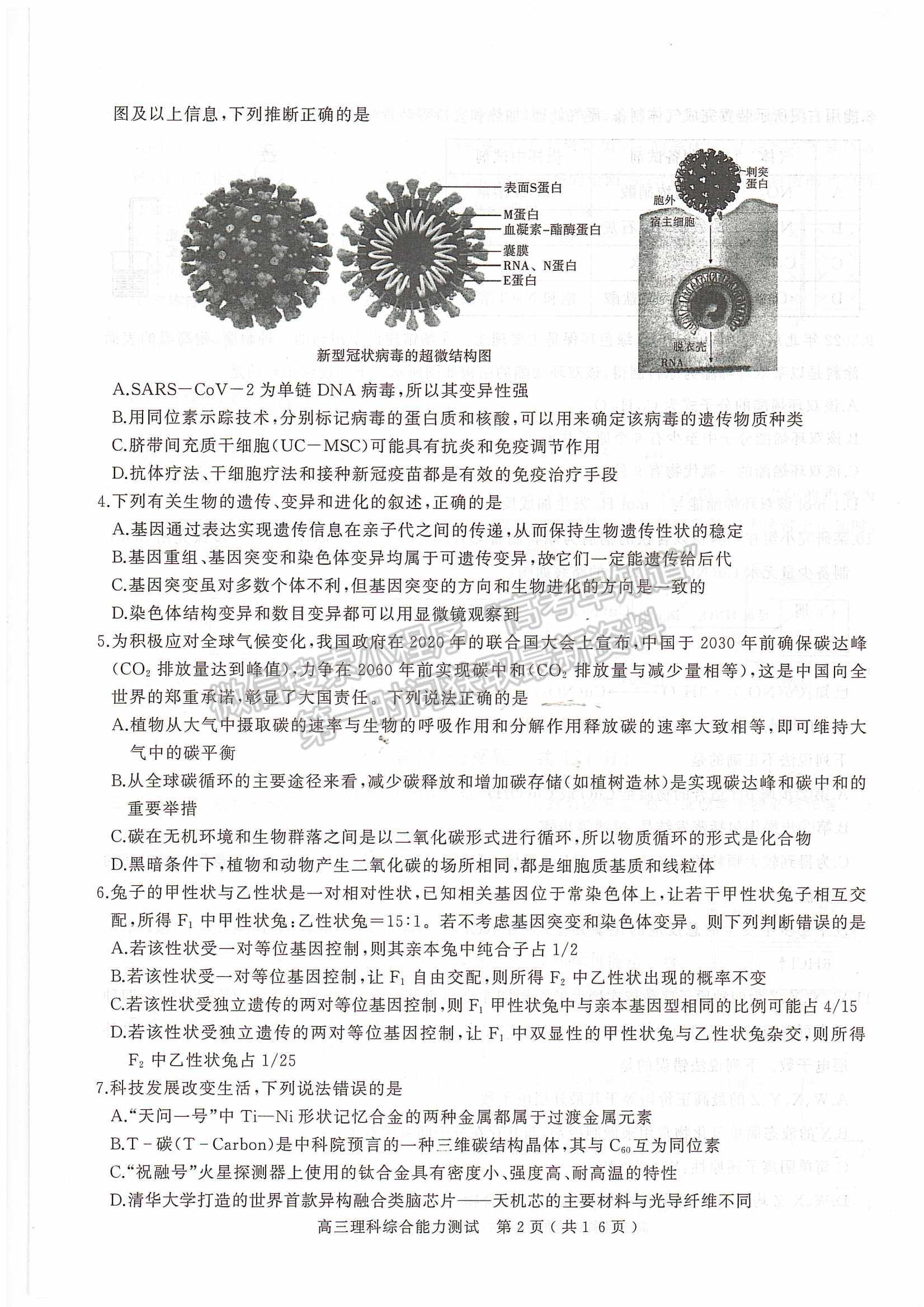 2022河南省六市/五市第一次聯(lián)考理綜試卷及參考答案