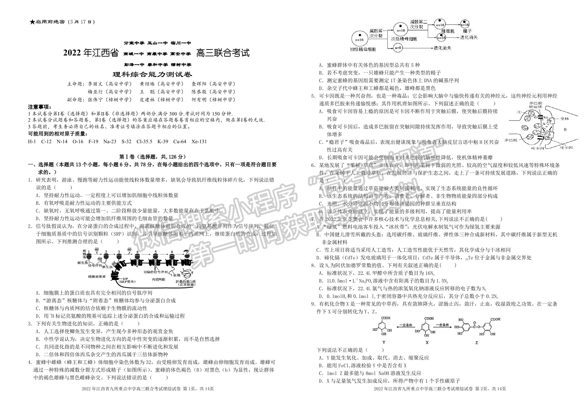 2022江西九大名校高三3月聯(lián)考理綜試卷及參考答案 