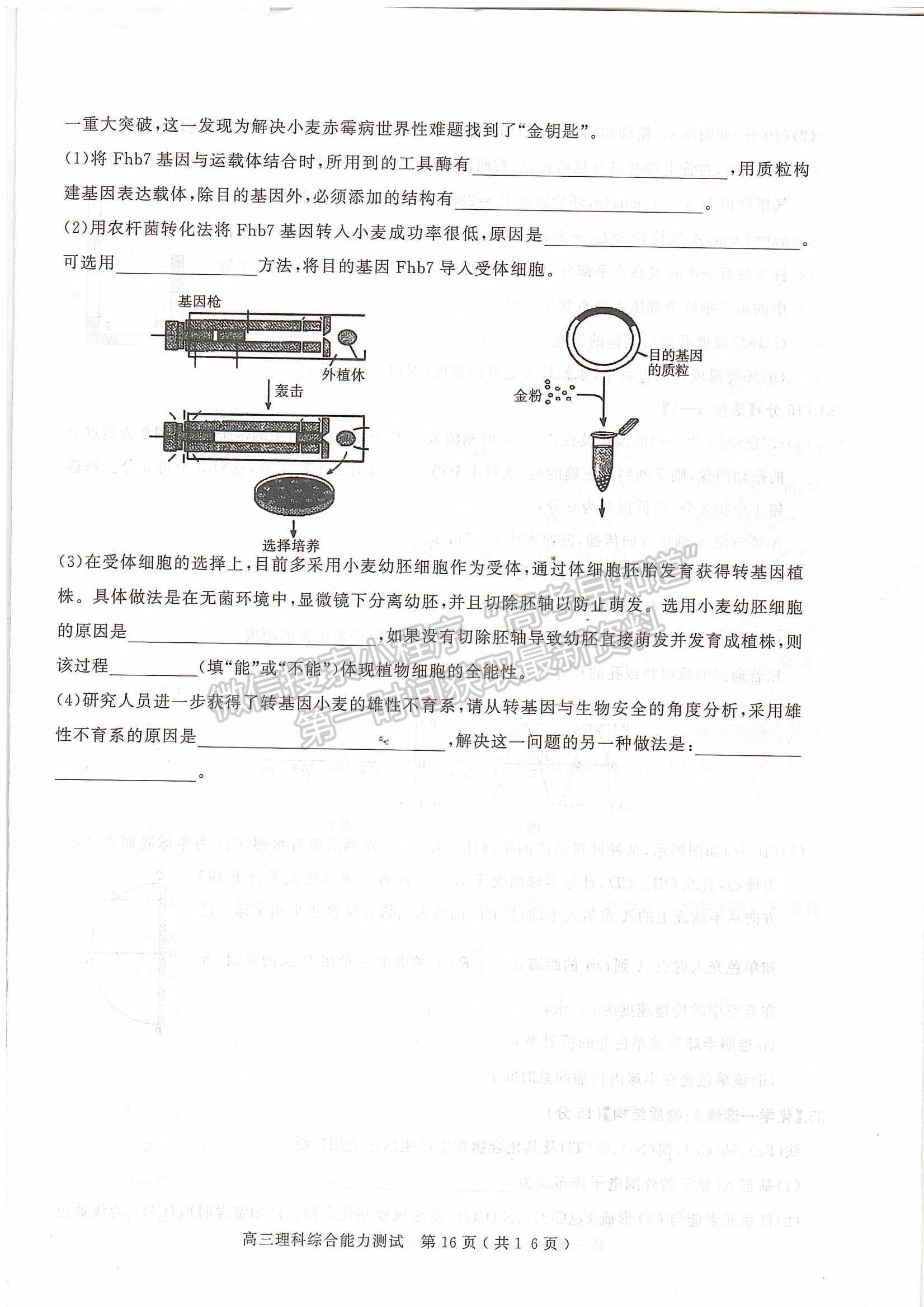 2022河南省六市/五市第一次聯(lián)考理綜試卷及參考答案