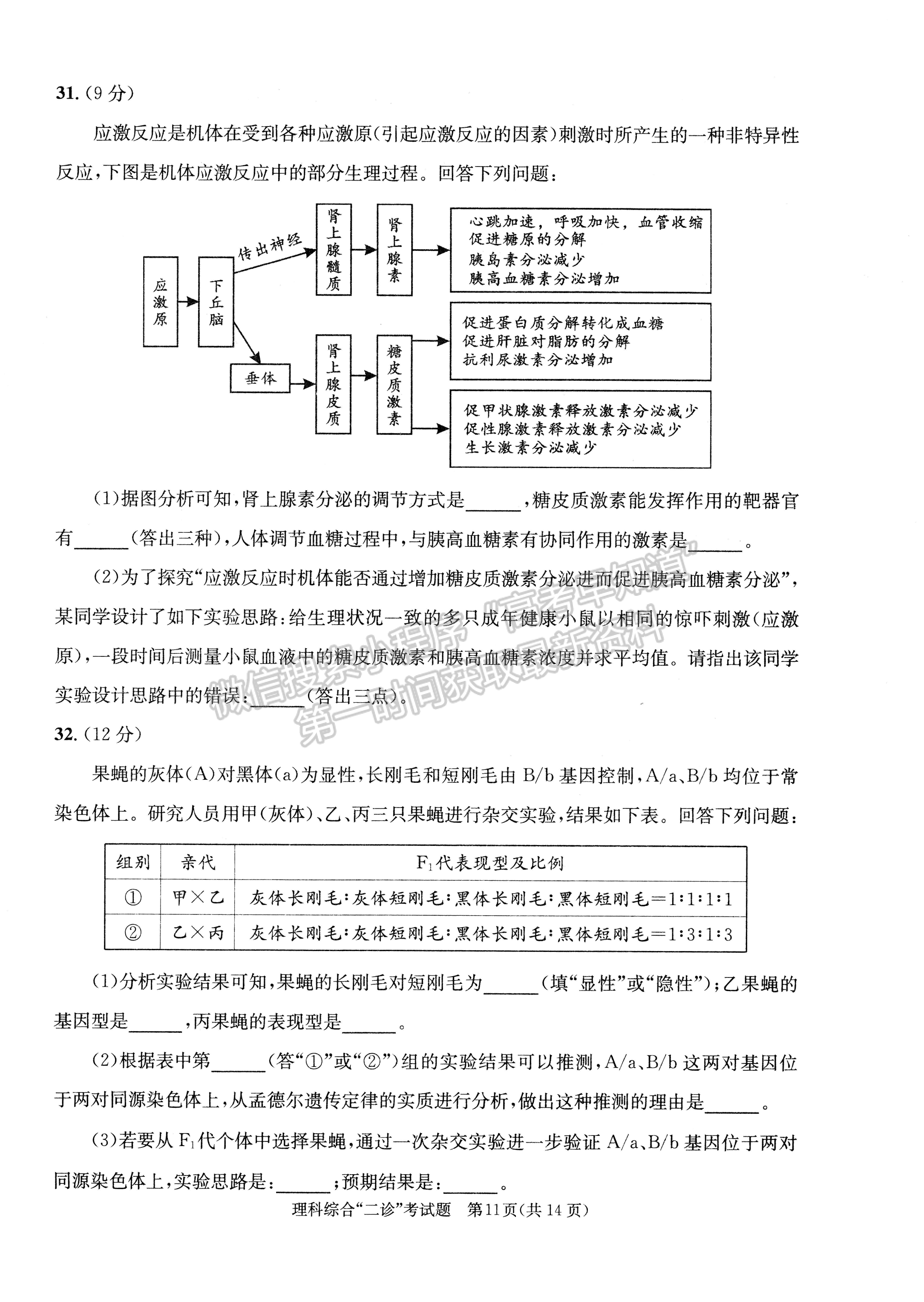 2022四川省成都市2019級高中畢業(yè)班第二次診斷性檢測理科綜合試題及答案