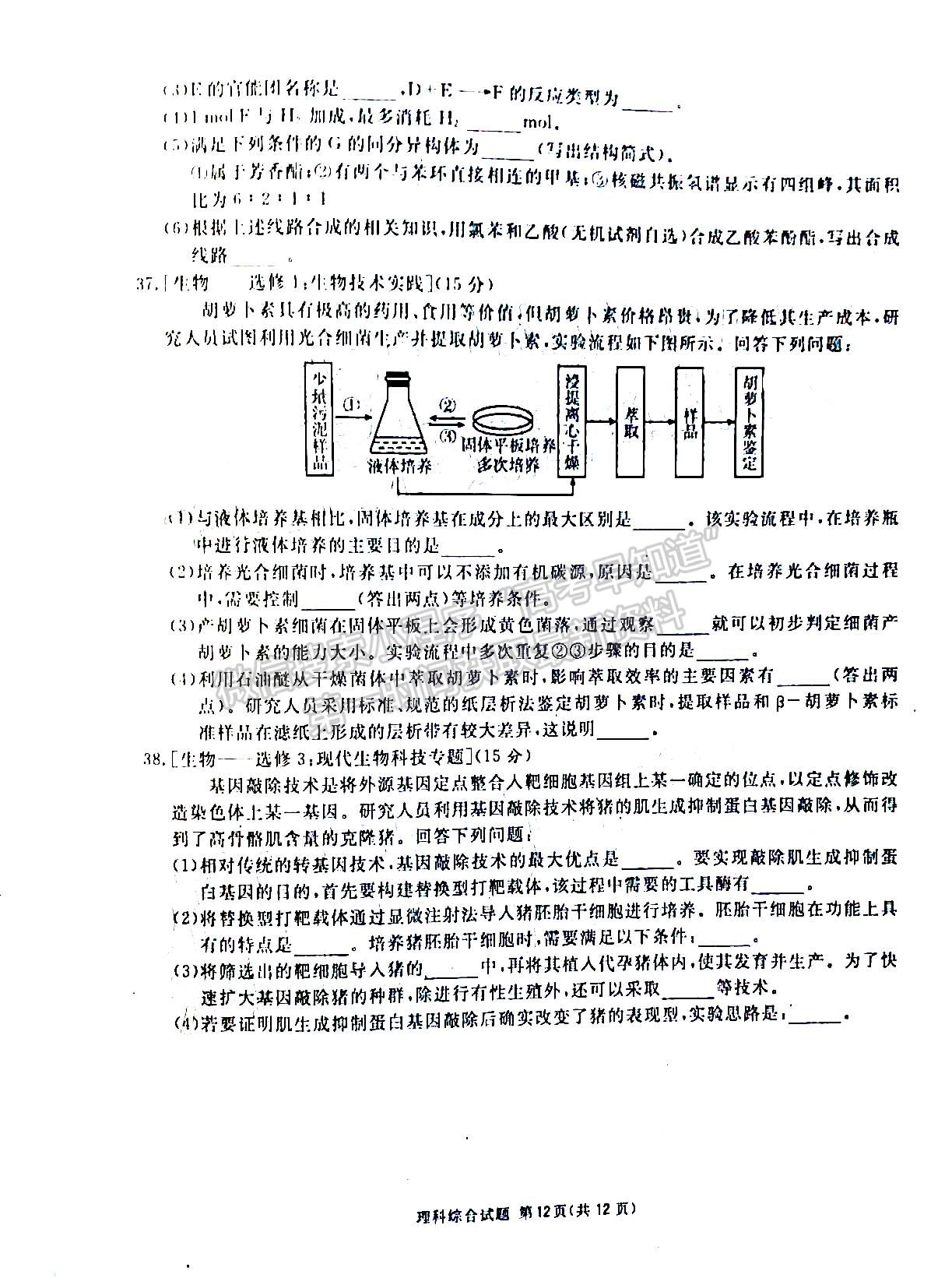 2022四川省九市二診理科綜合試題及答案