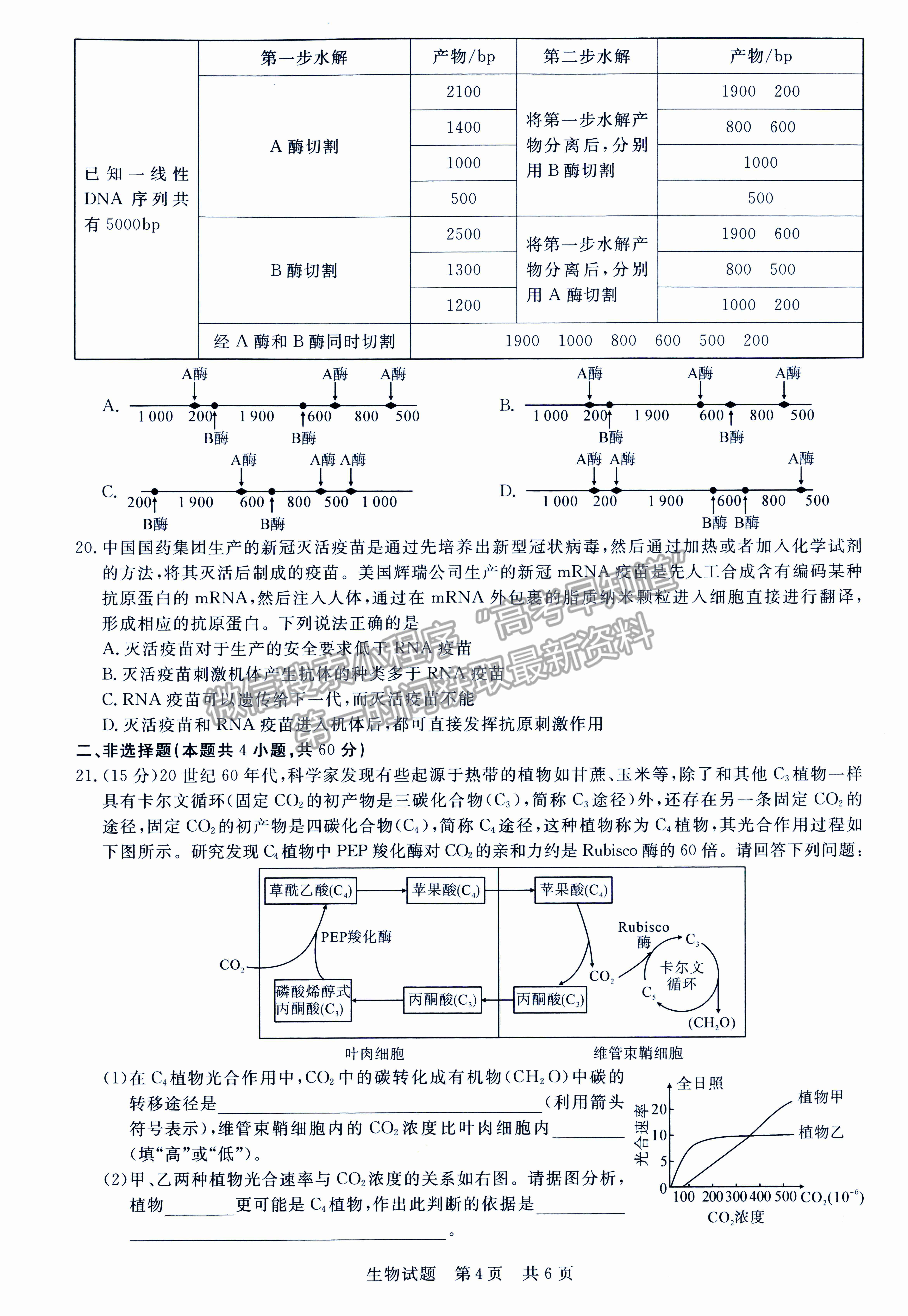 2022屆八省T8聯(lián)考高三第二次聯(lián)考（湖南）生物試題及參考答案