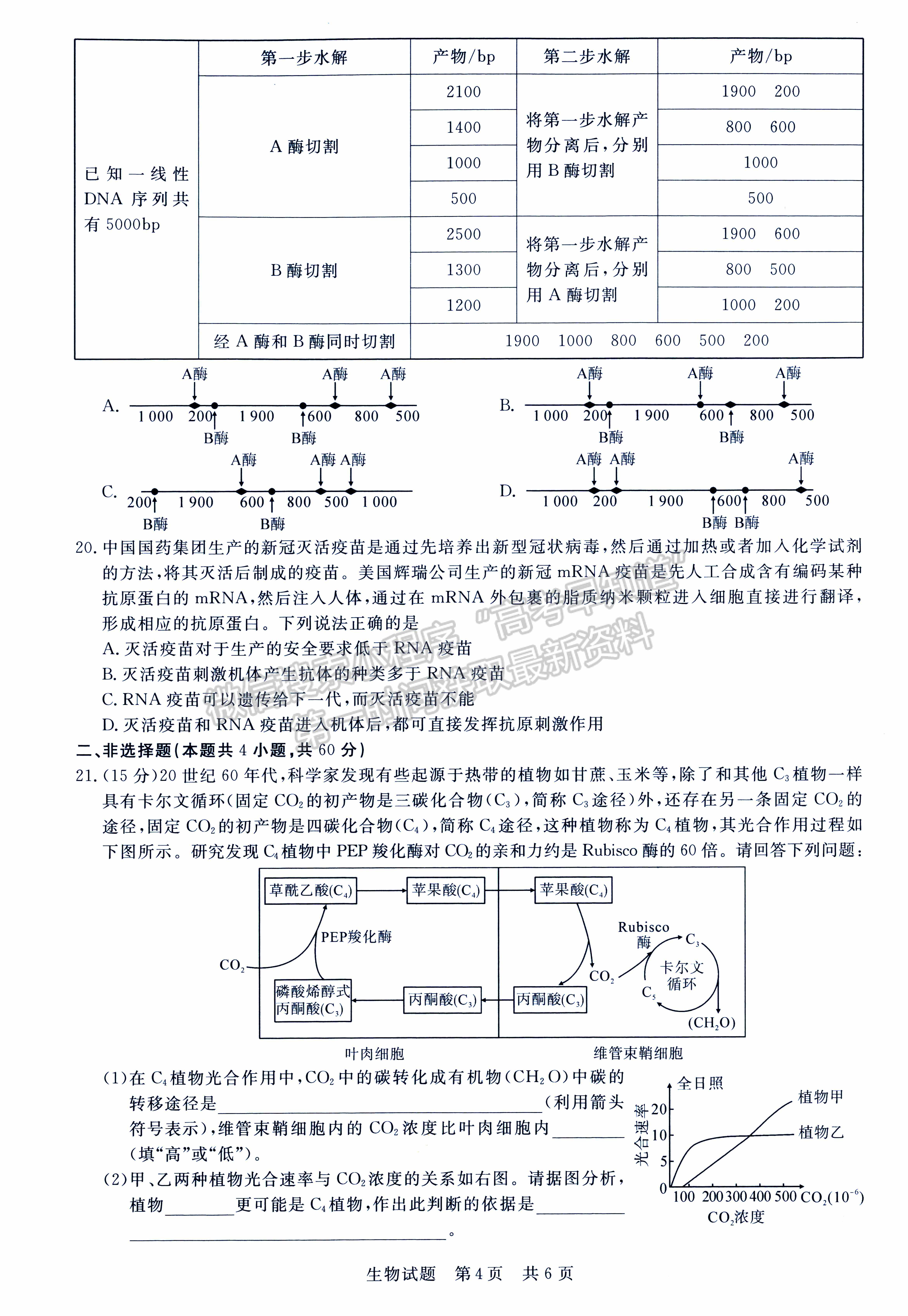 2022屆八省T8聯(lián)考高三第二次聯(lián)考（廣東）生物試題及參考答案