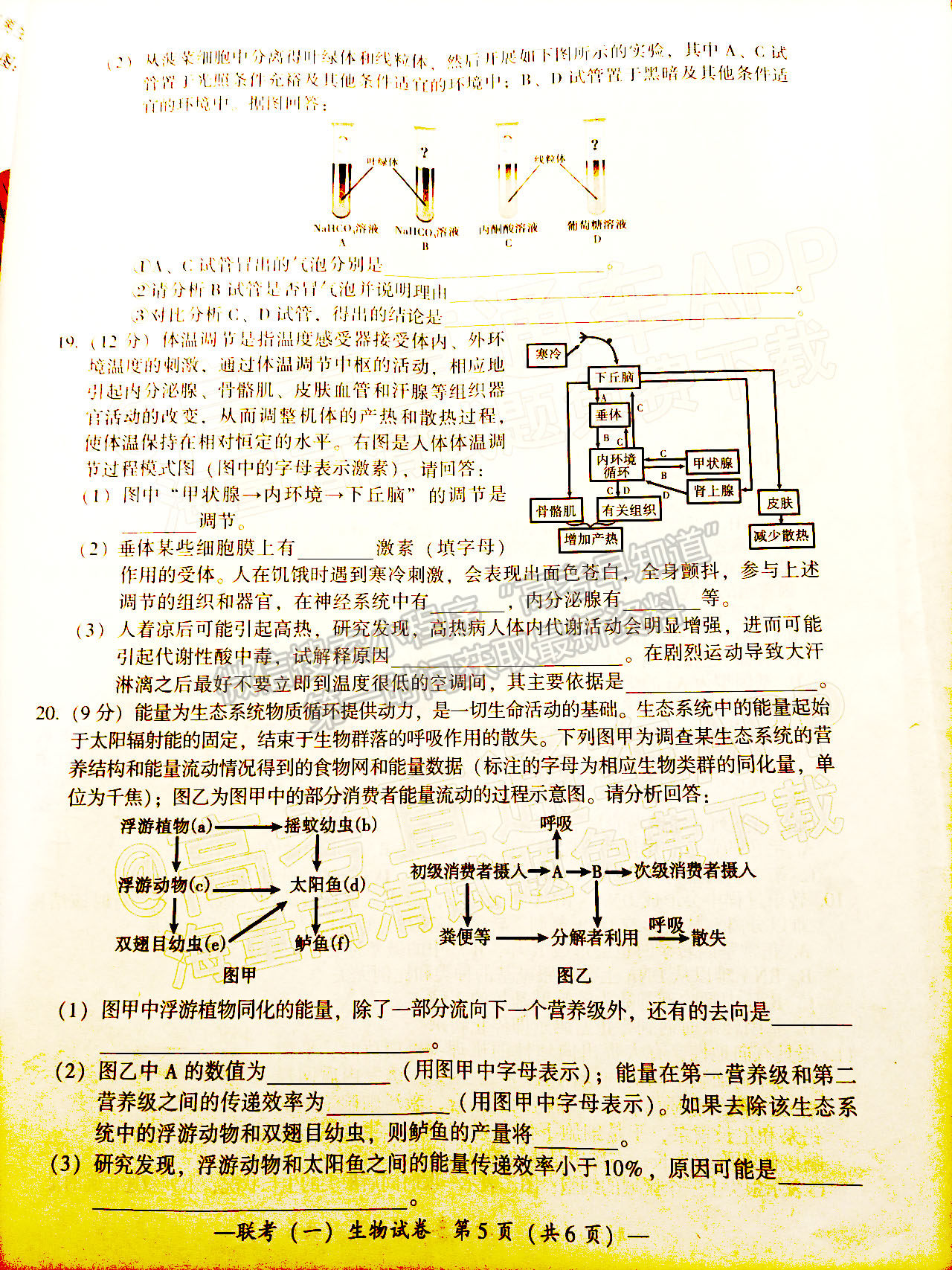 湖南2022衡陽一模生物試題及參考答案