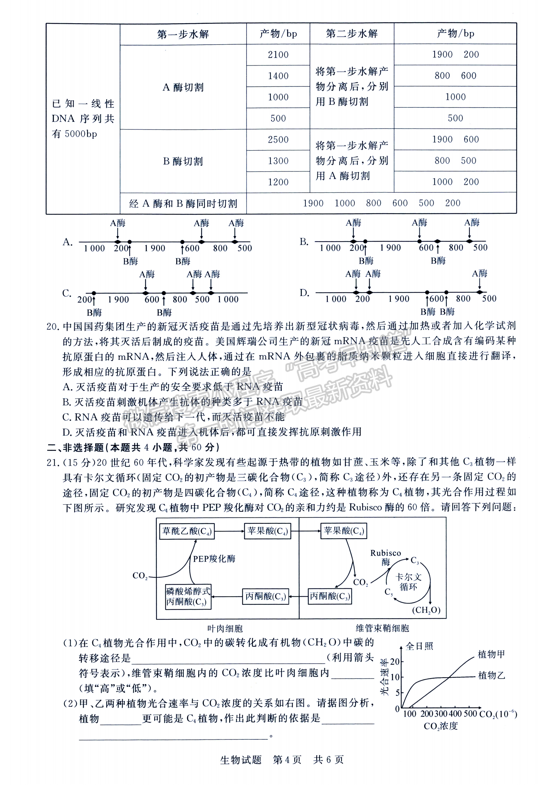 2022T8第二次聯(lián)考生物（湖北卷）試卷及答案