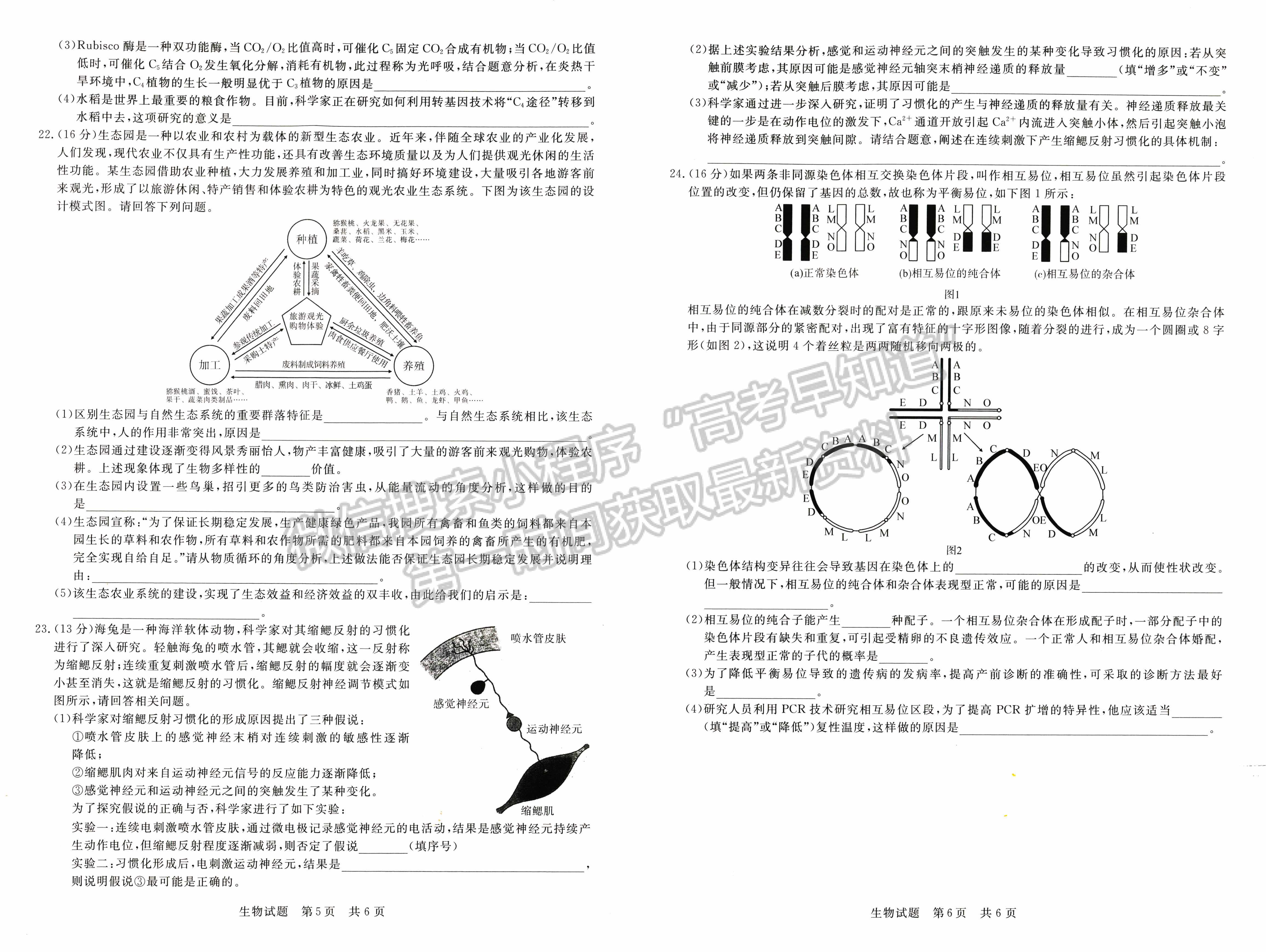 2022屆八省T8聯(lián)考高三第二次聯(lián)考（廣東）生物試題及參考答案