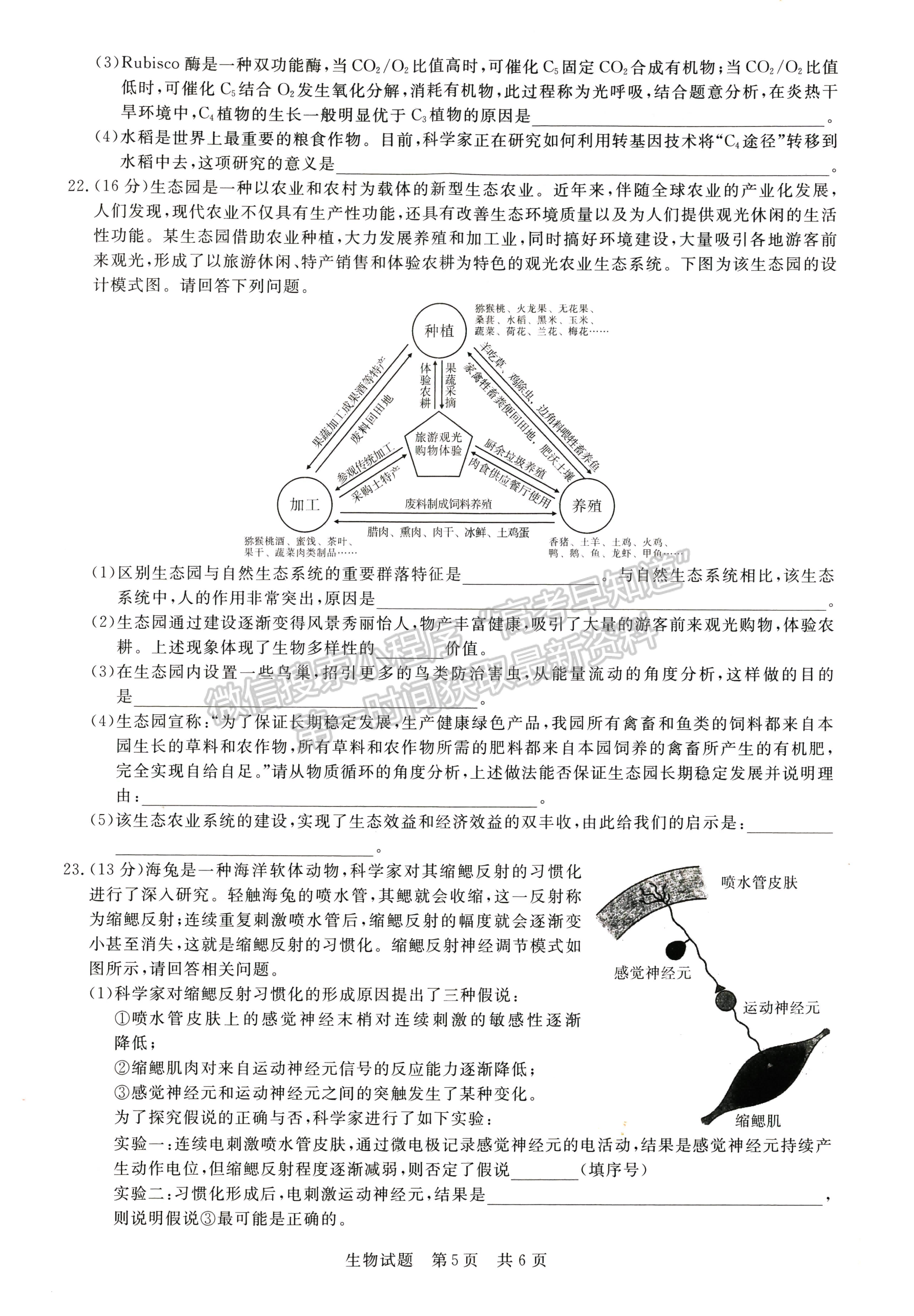 2022T8第二次聯(lián)考生物（湖北卷）試卷及答案